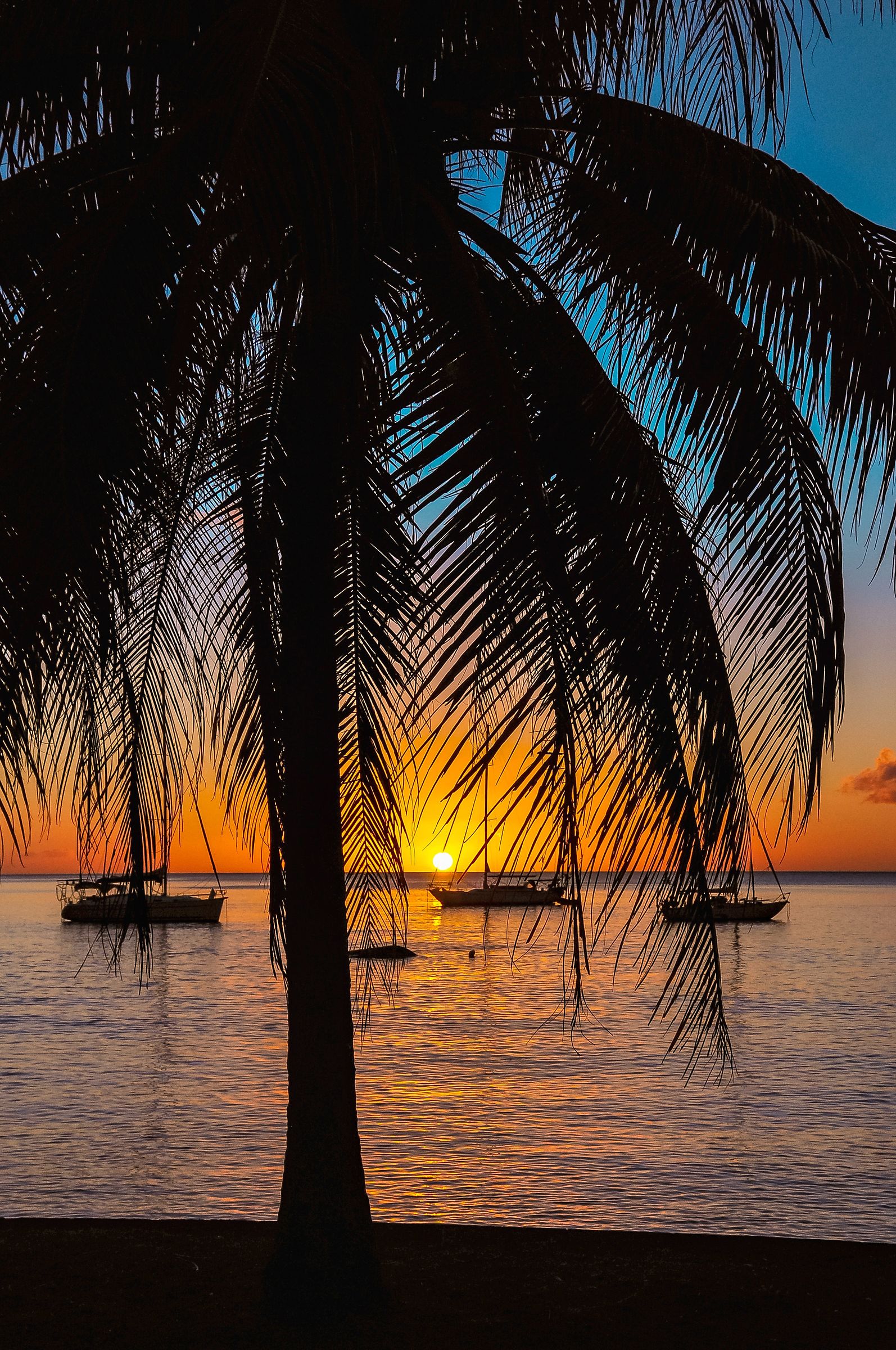 West indies sunset