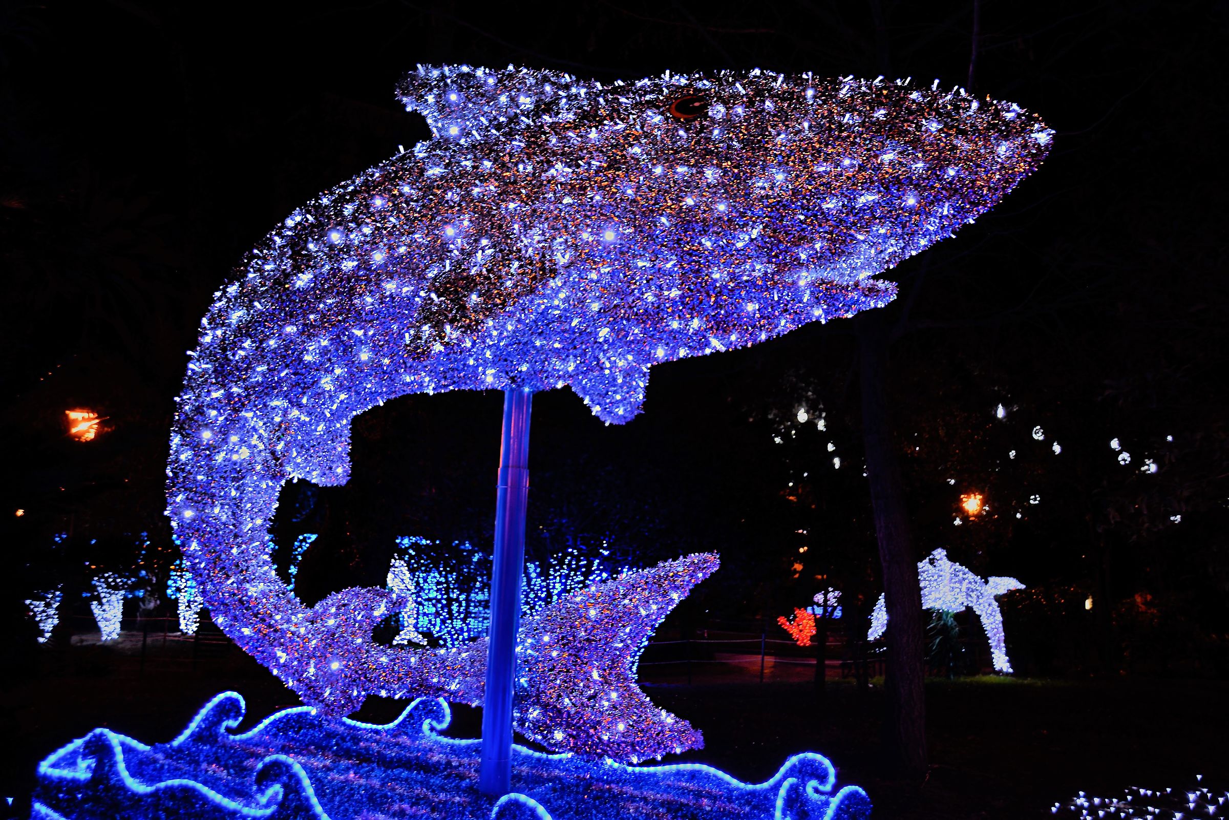 Luci d'Artista: l'acquario