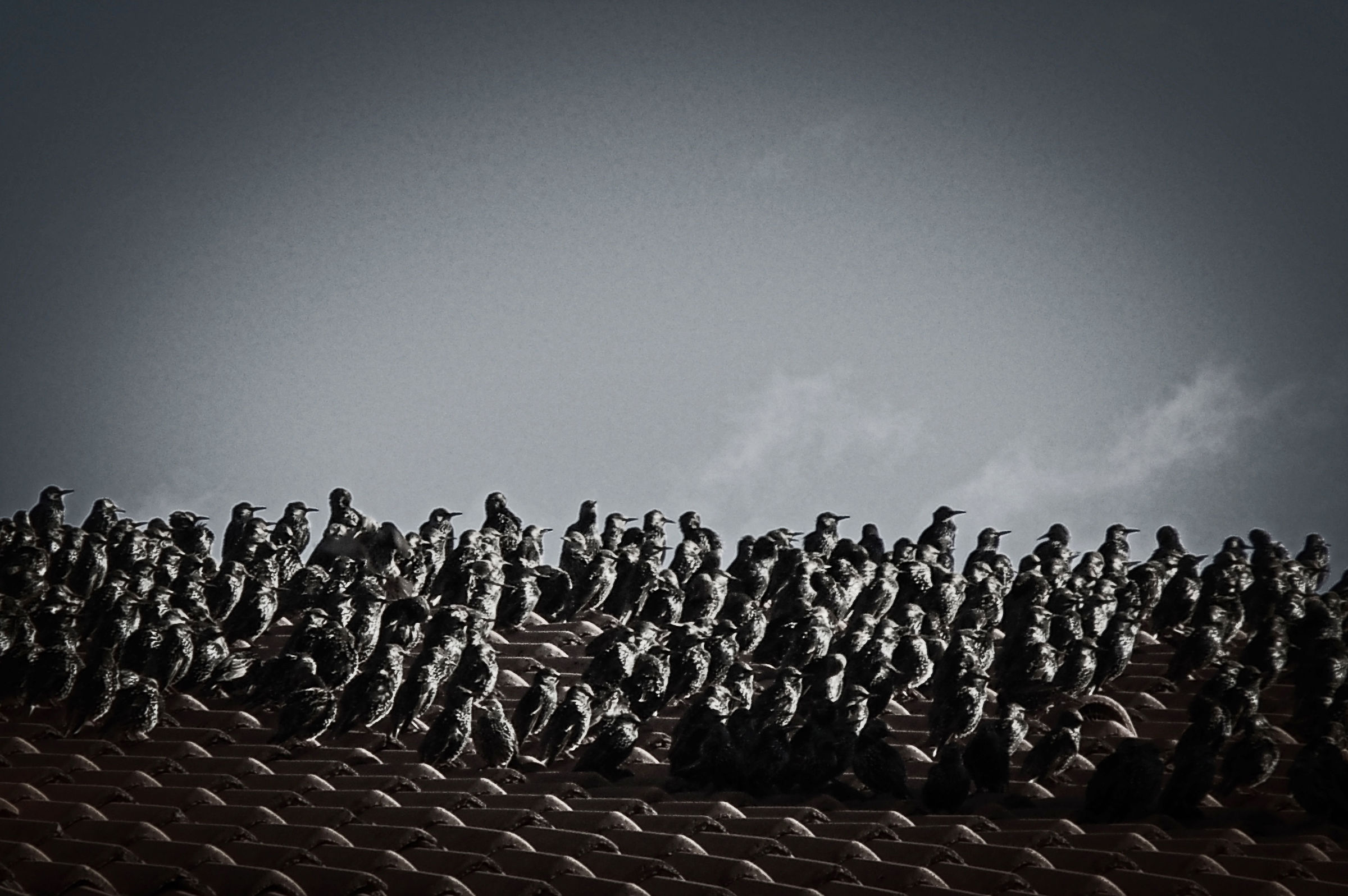 Riunione condominiale