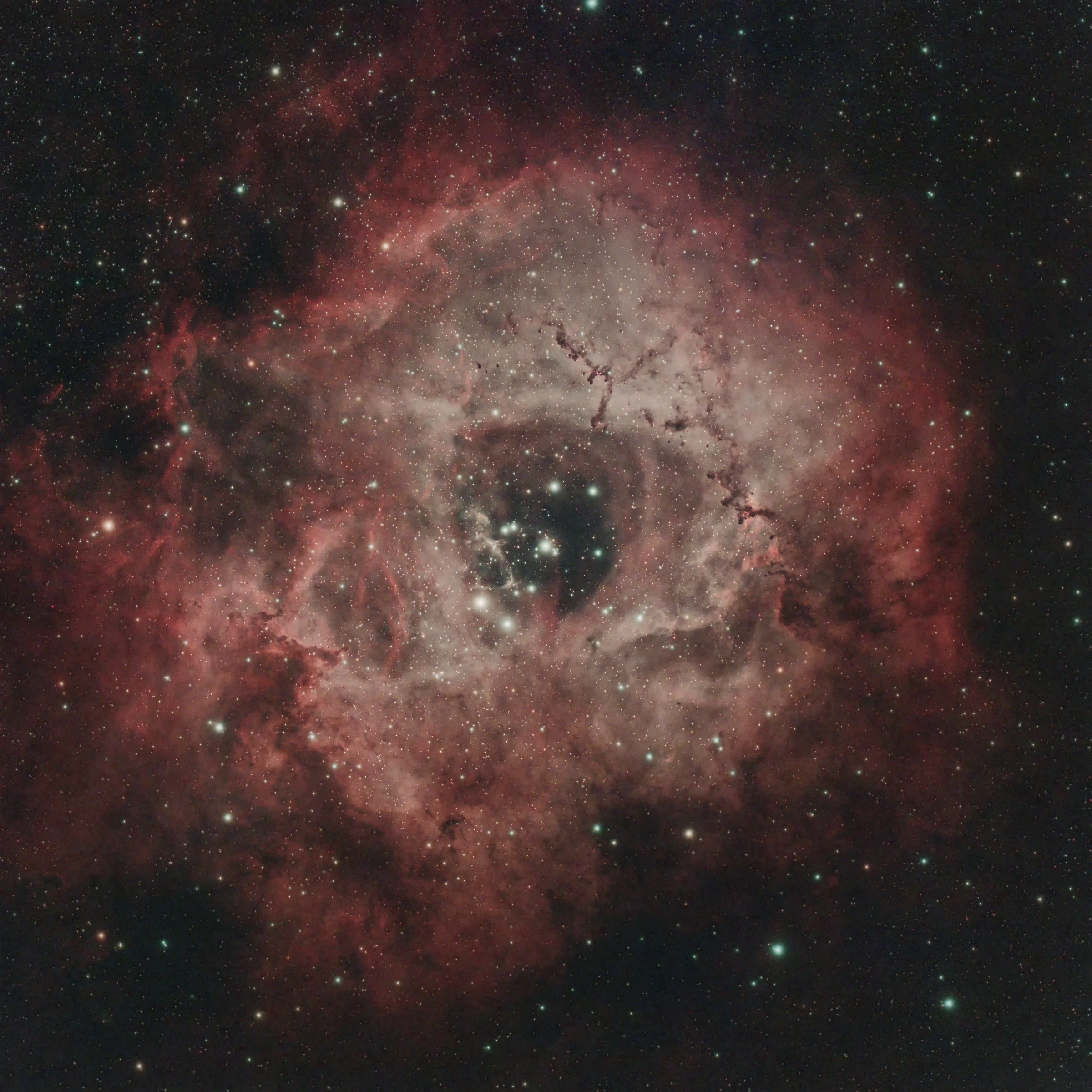 Nebulosa Rosetta (igc 2237)