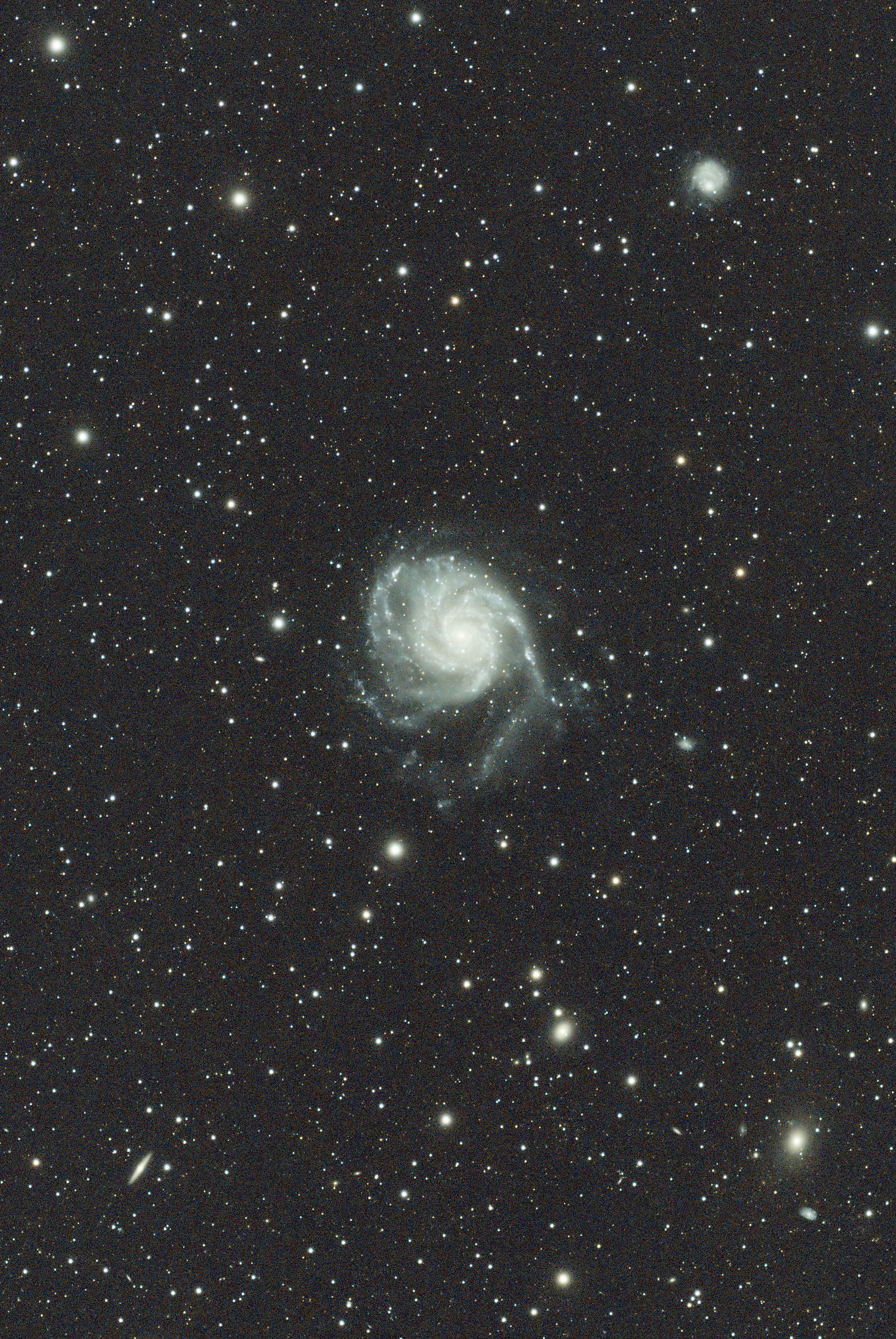 Galassia Girandola (M 101)