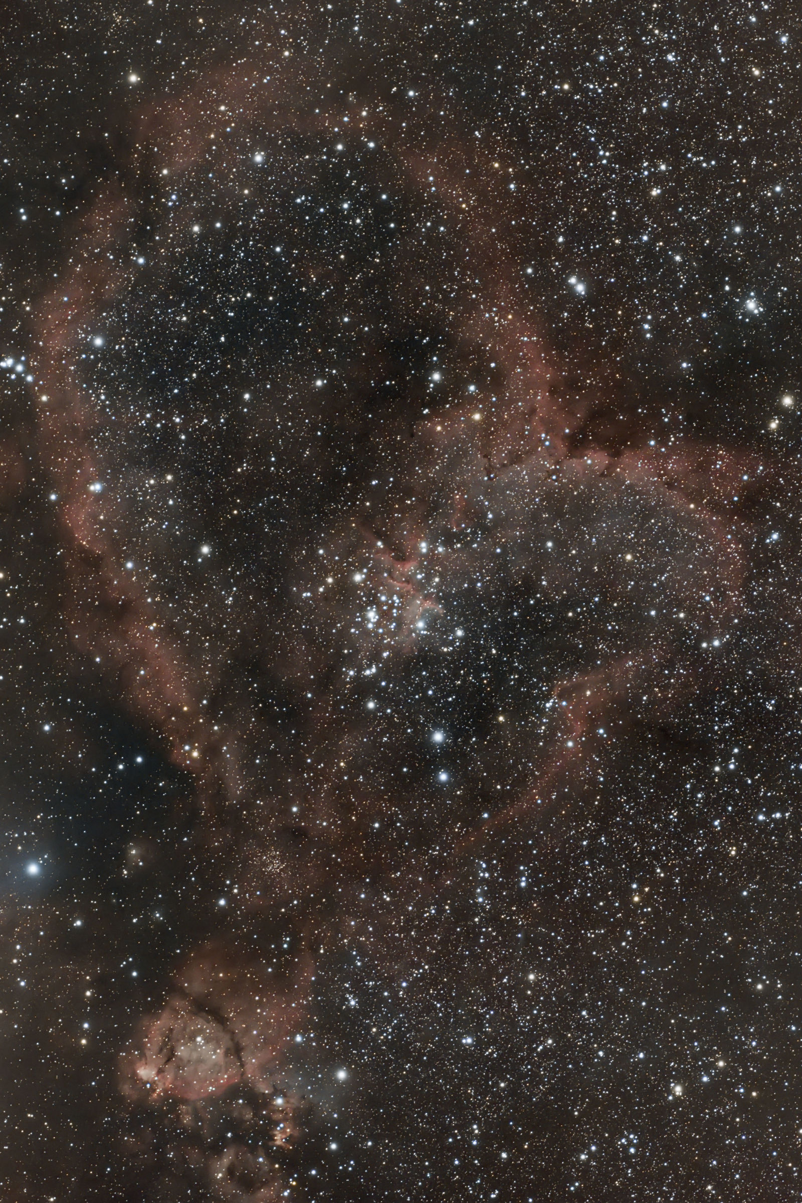 Nebulosa Cuore (IC 1805)