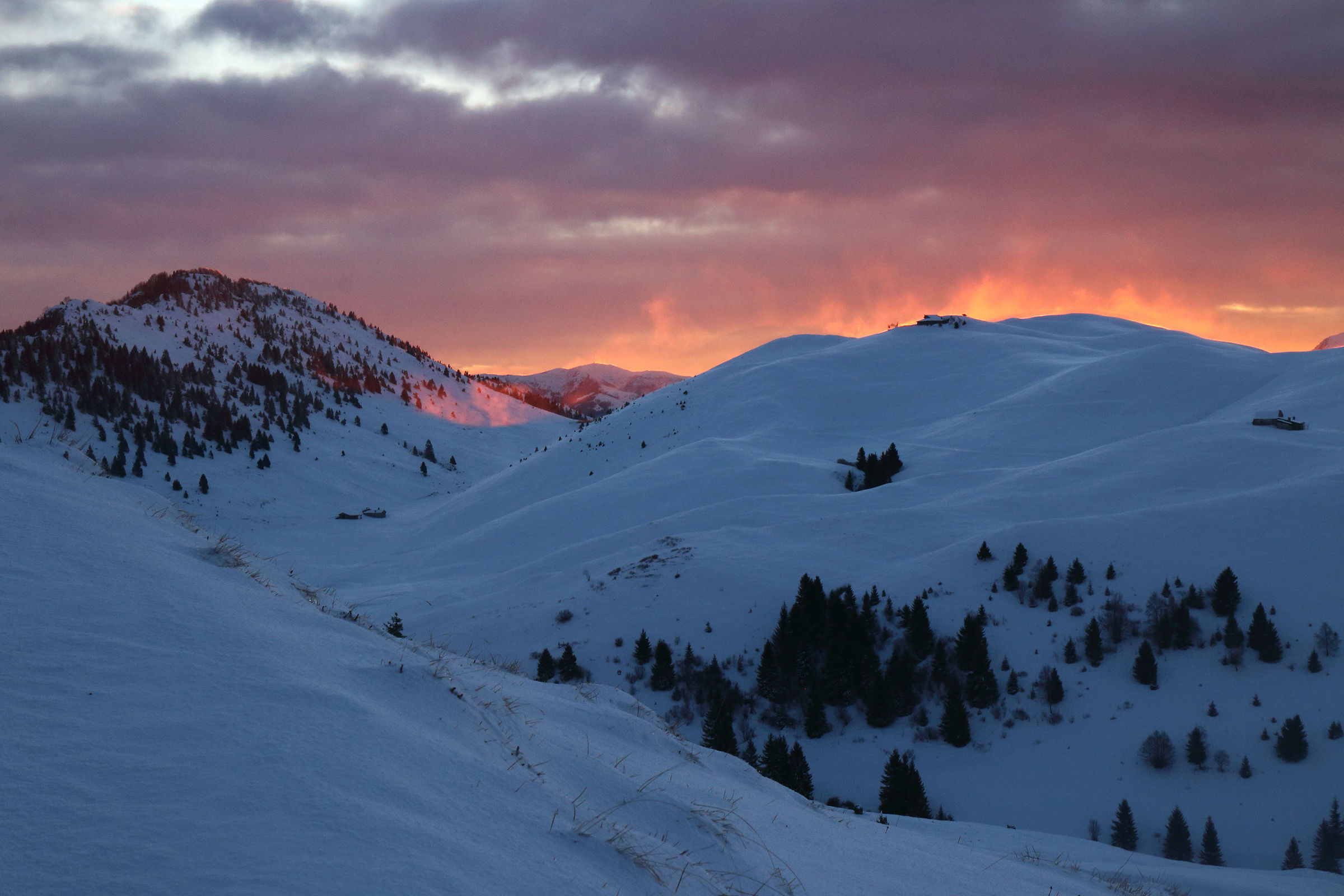 Fiery dawn on the Formic