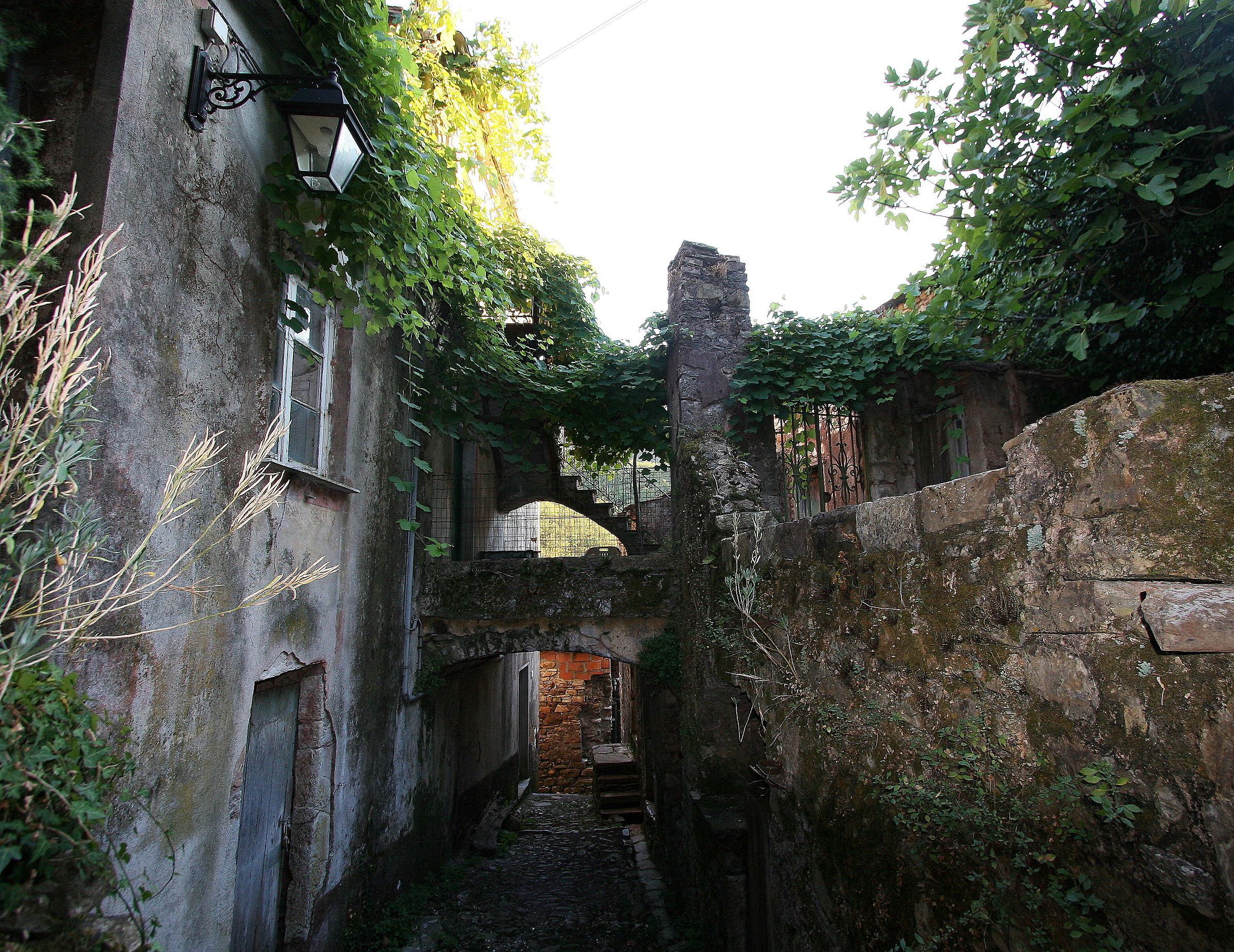 5295-light of hope for uninhabited country