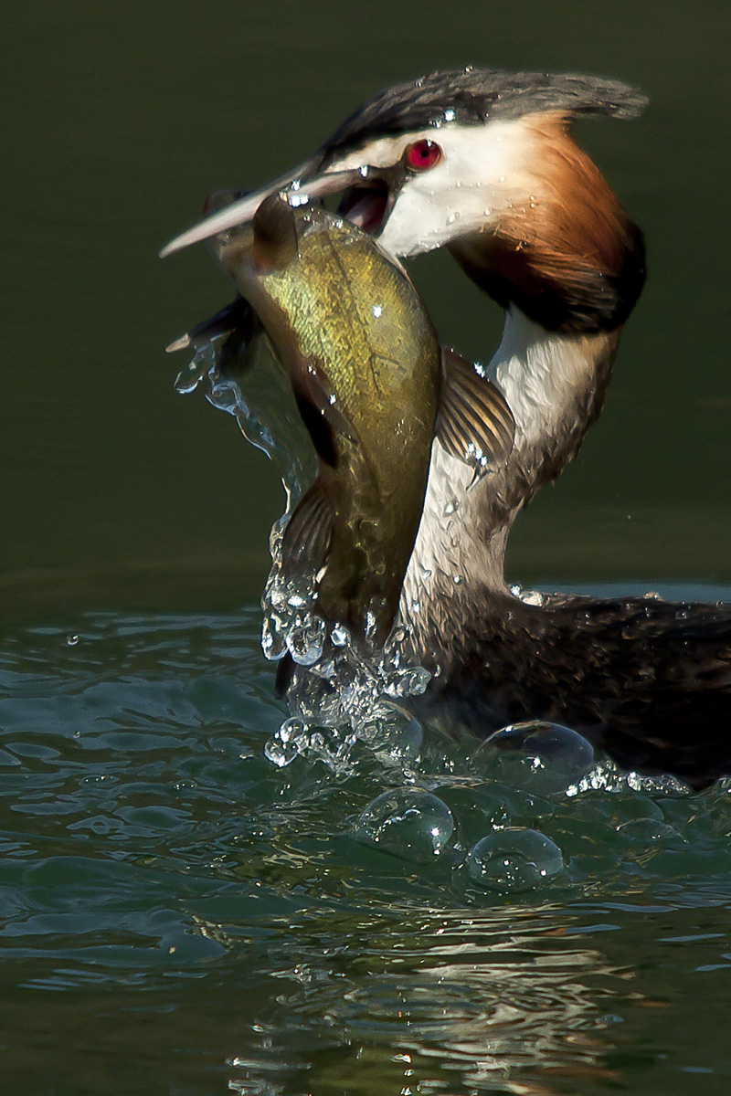 La legge della Natura