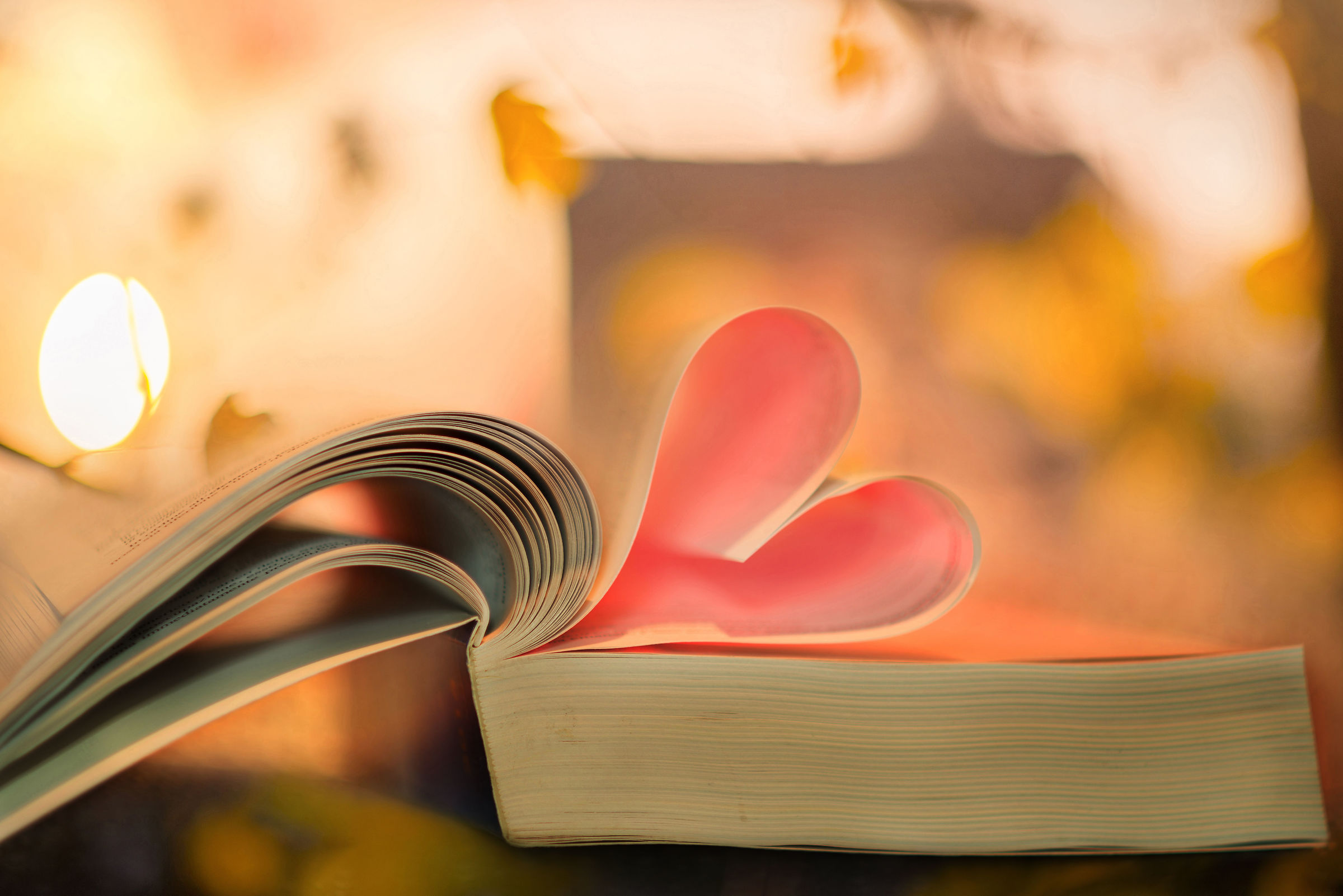 A book, a heart a hut..