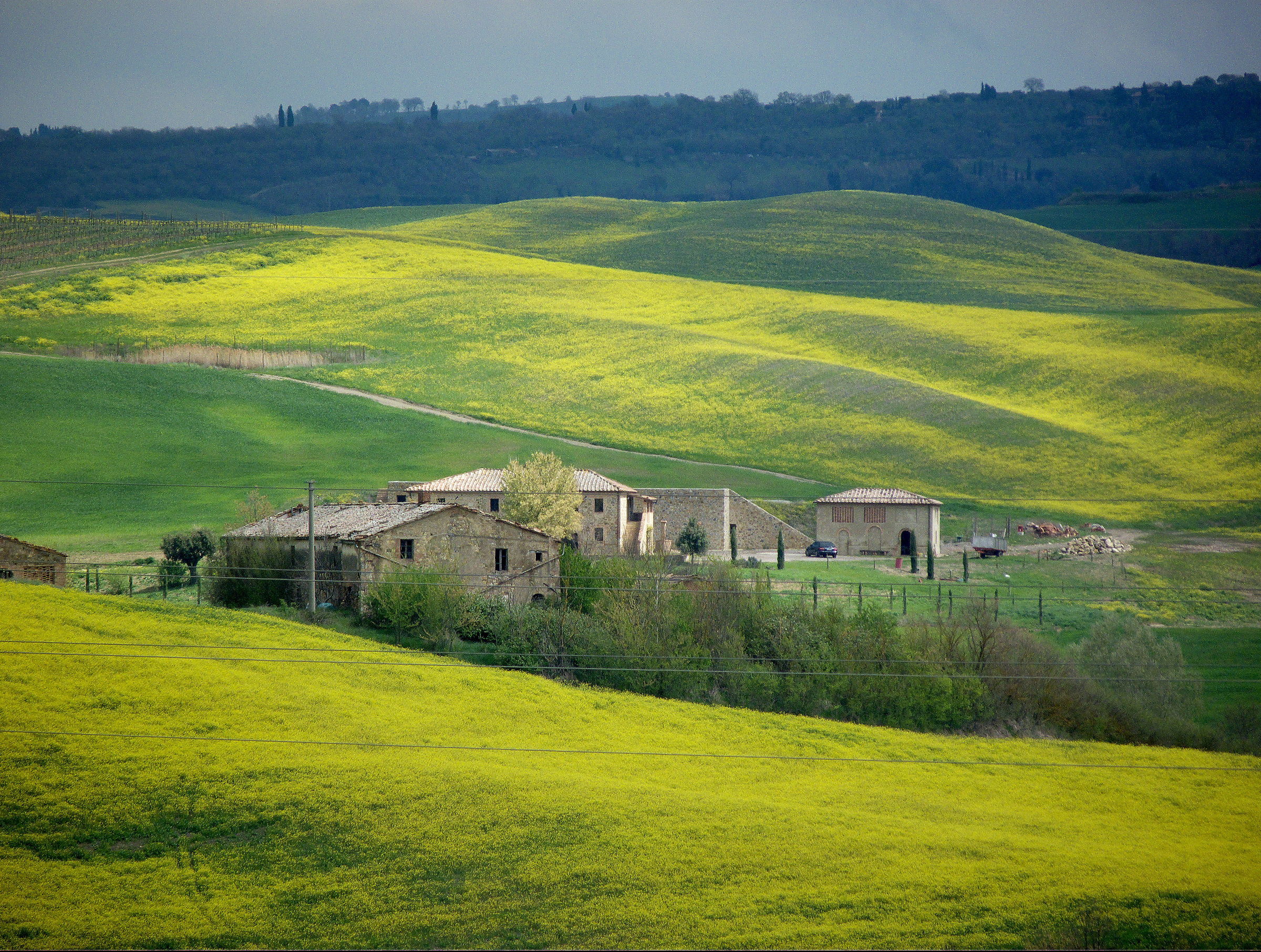 Tuscan Hills