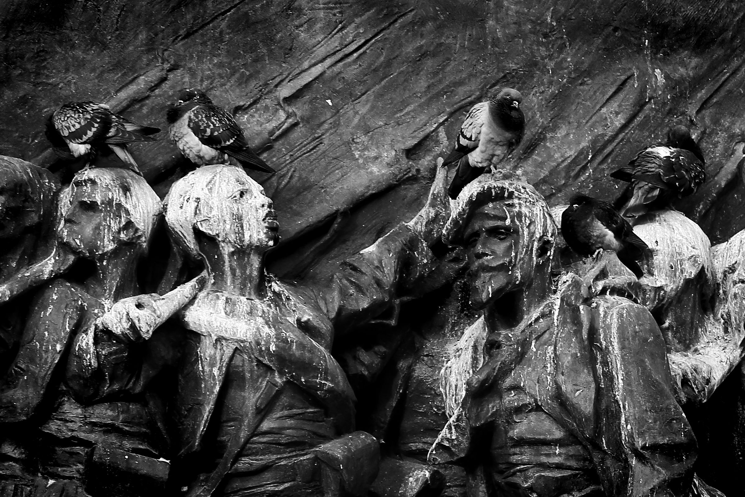 "Onore e Gloria per la Patria,e poi! che fine di m....