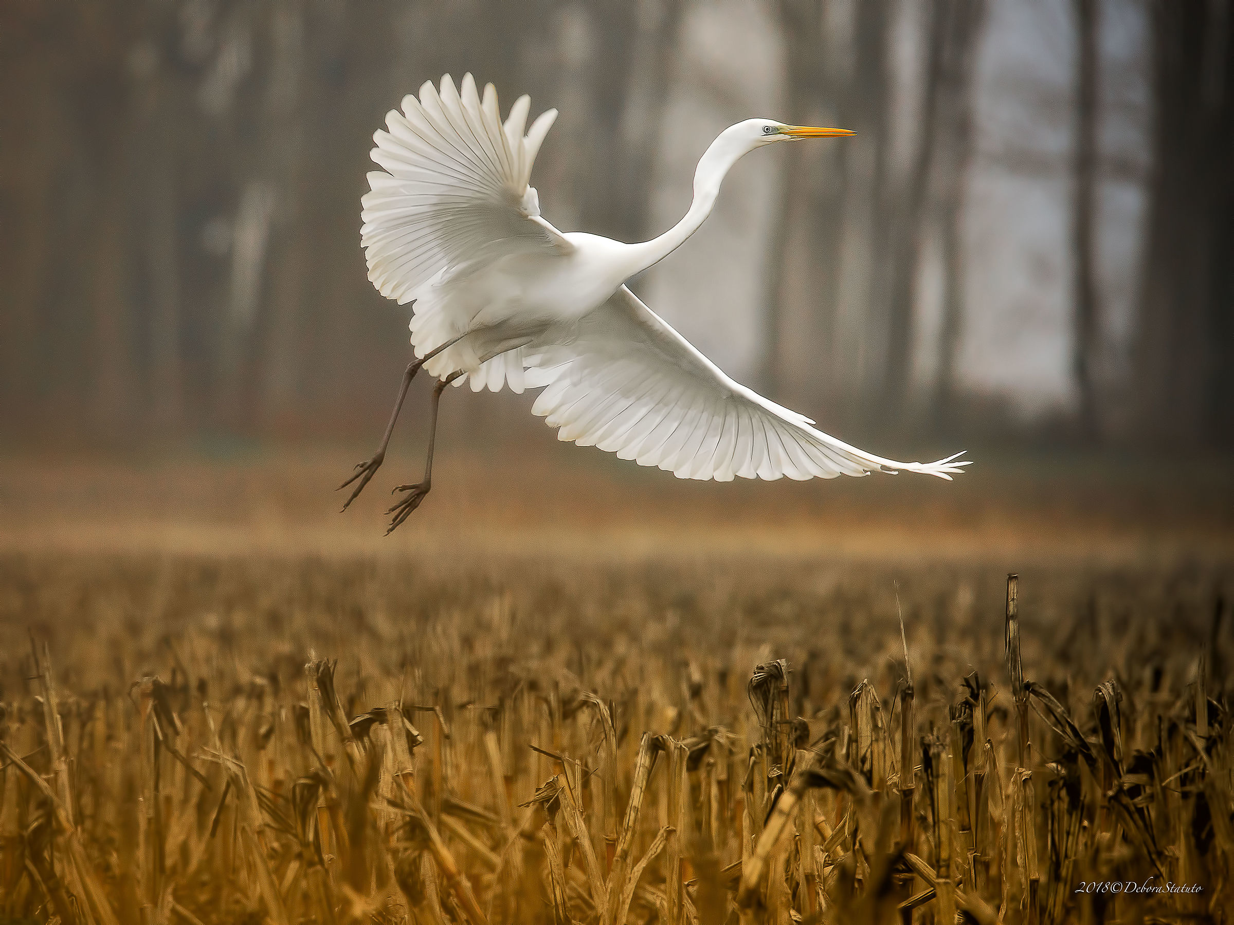 On a winter afternoon....