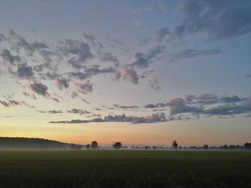Pennellate della natura