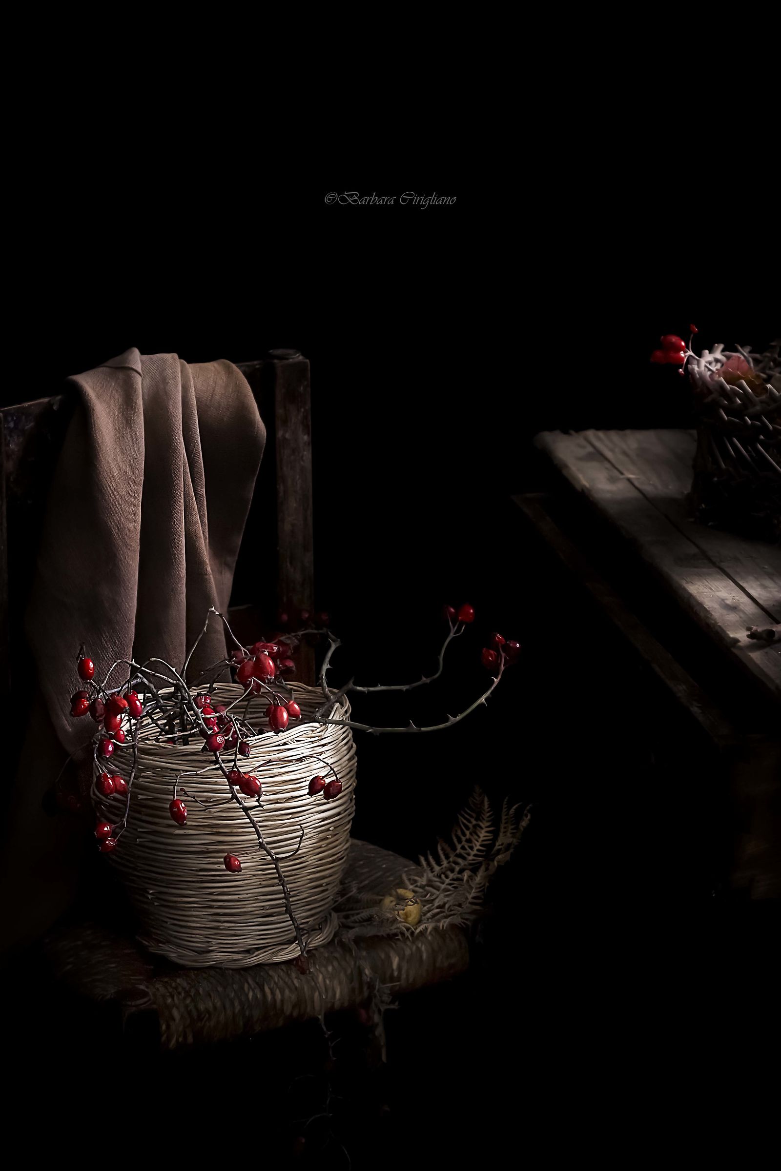 Everything is wonder