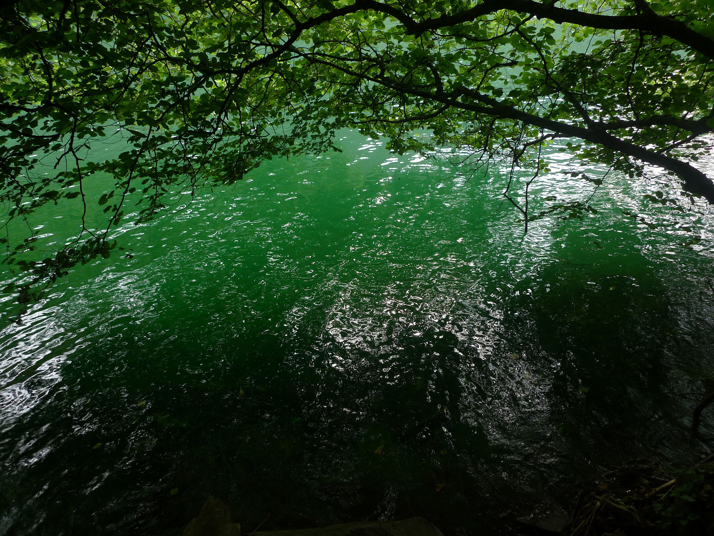 Il lago vicino a casa mia