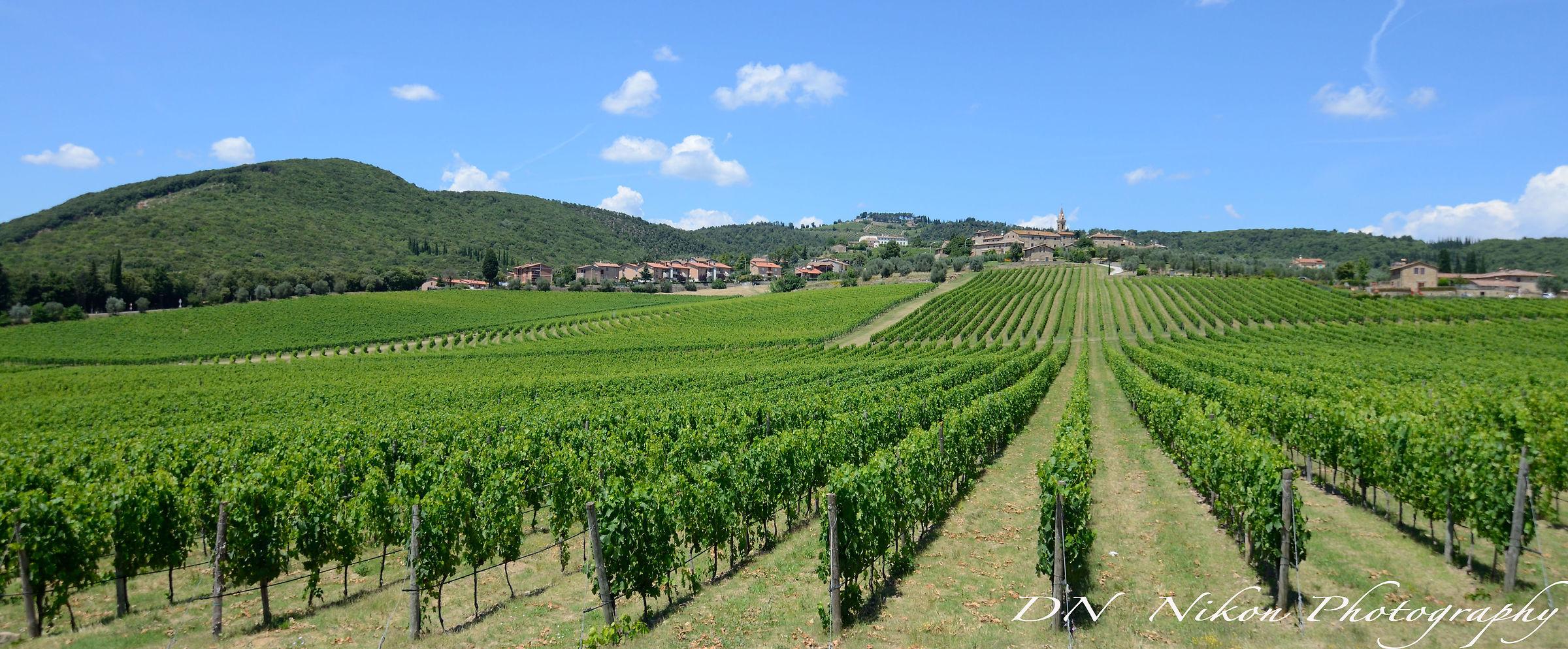 Vigneti a San Gusmè