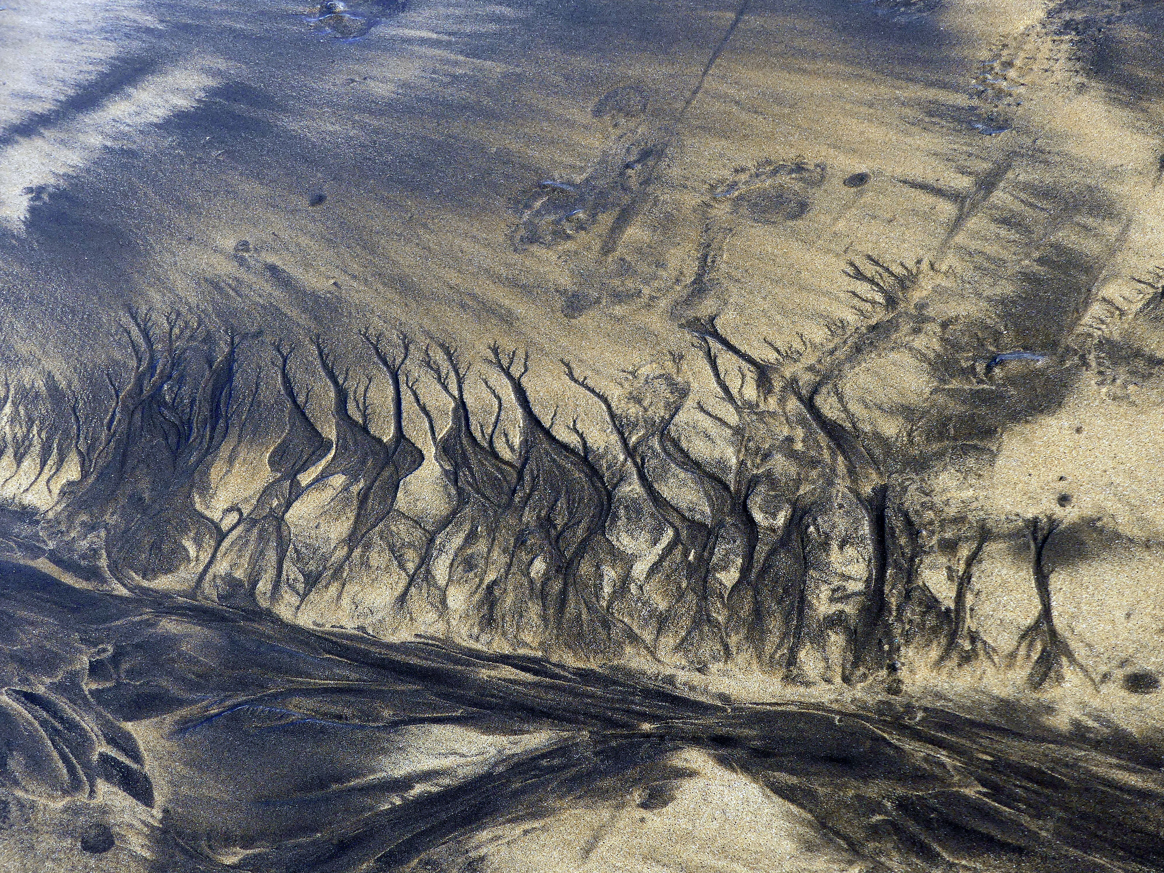 Traces in the sand