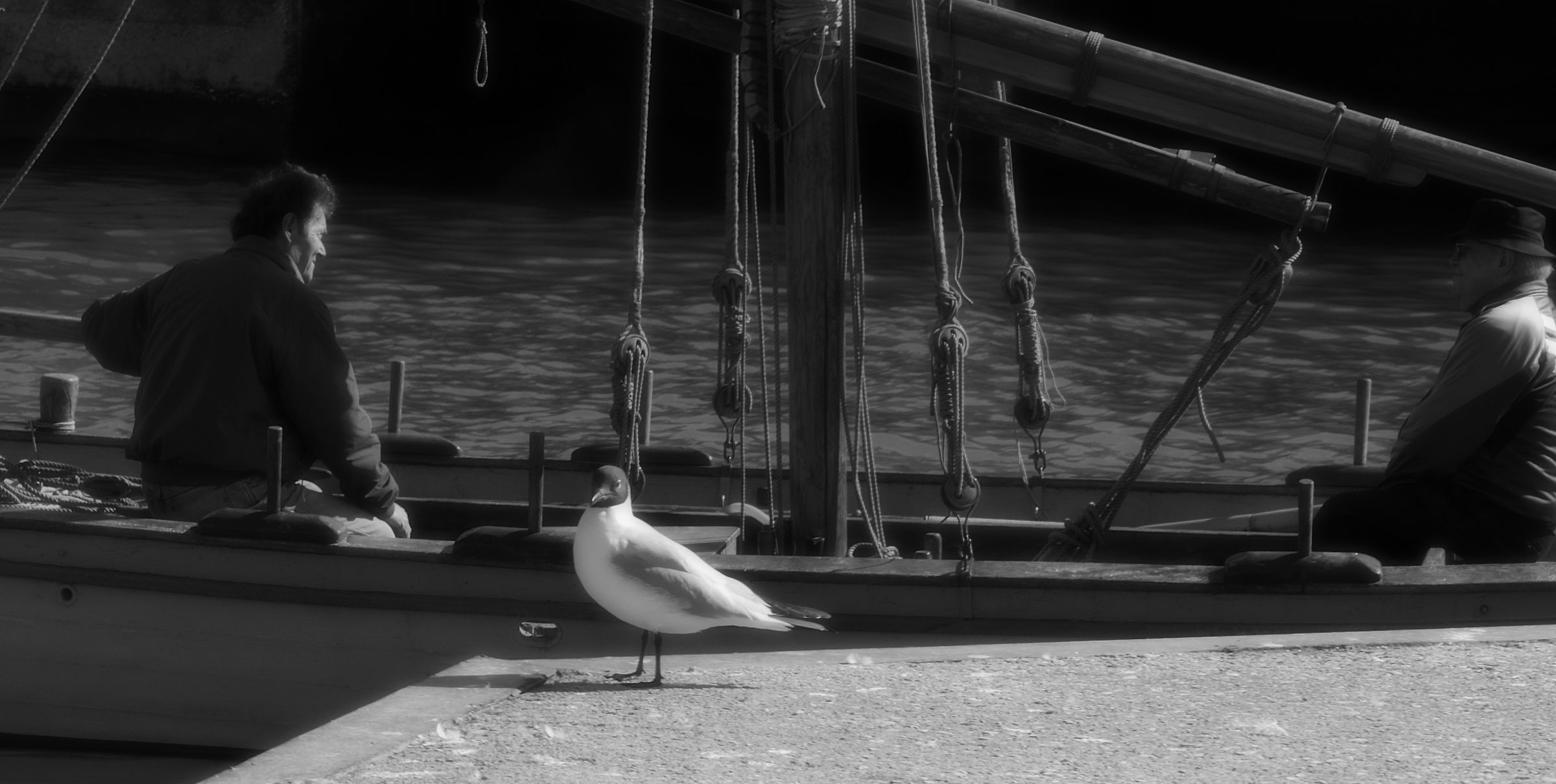 Fishermen coming out of the harbor