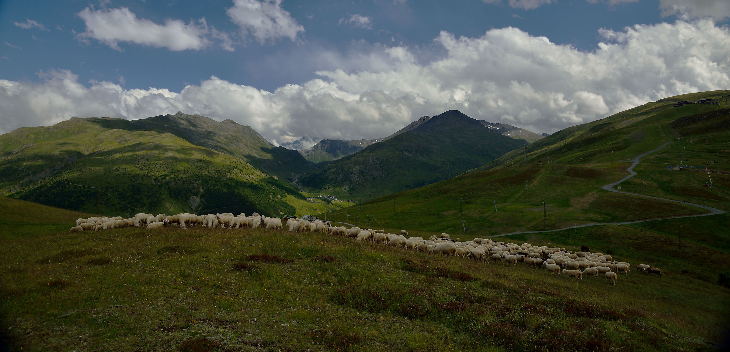 Flock to three balls Livigno