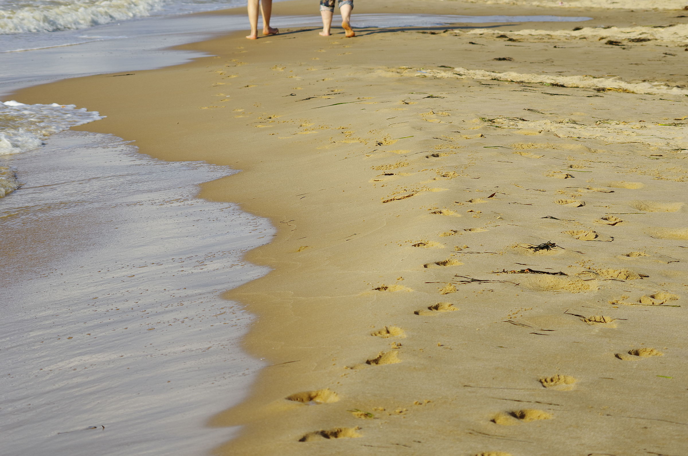 Spiaggia di Aleccia (Alcamo Marina TP) in Giugno 2018