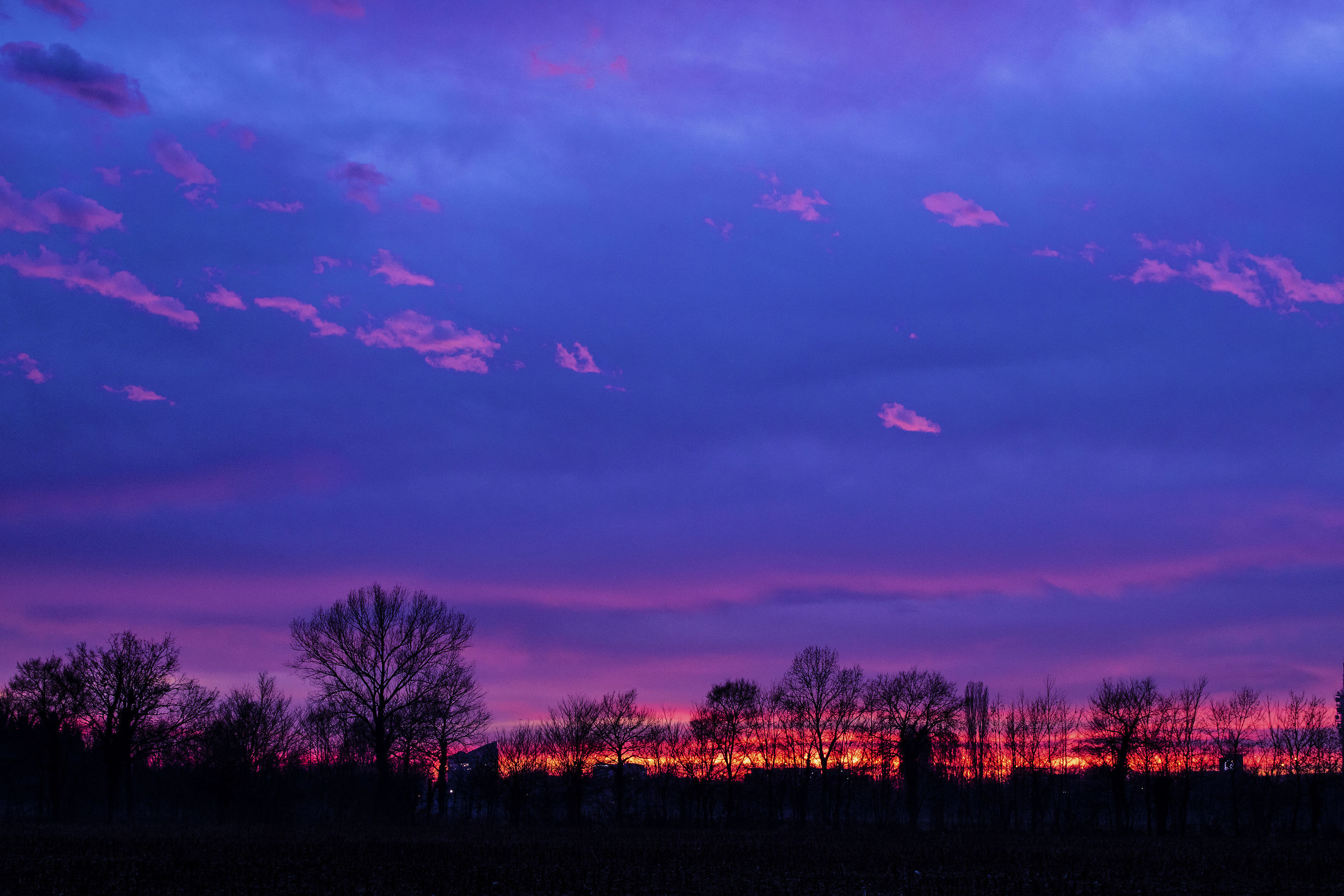 11.02.2019 Suburban Sunset