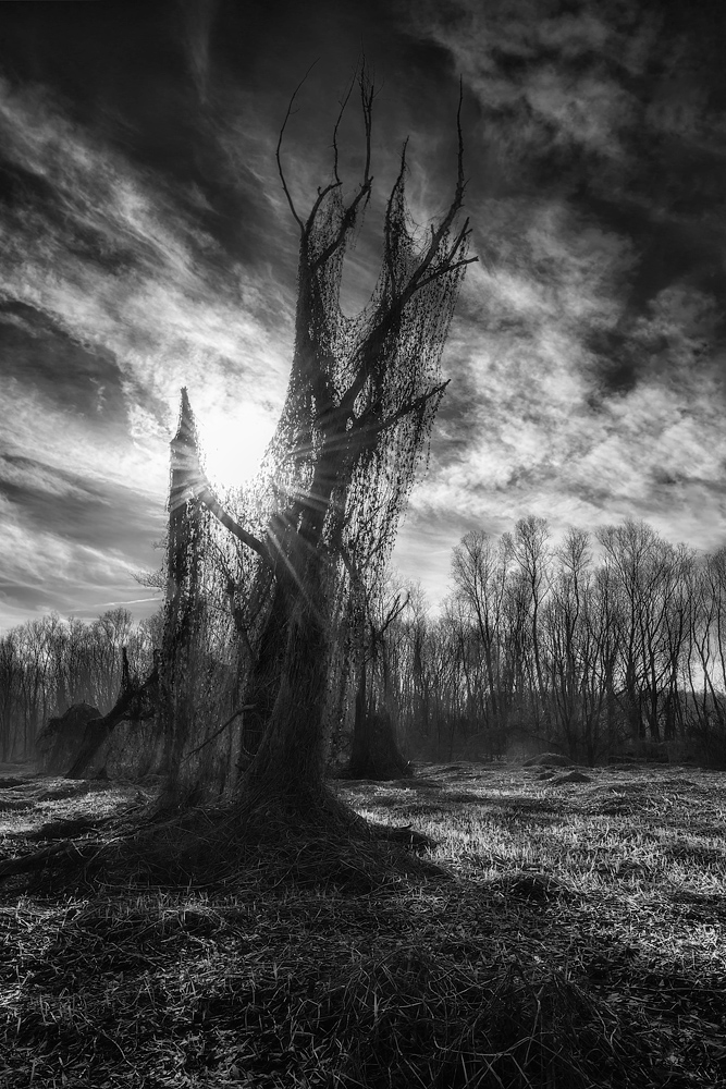 The Condemned to death