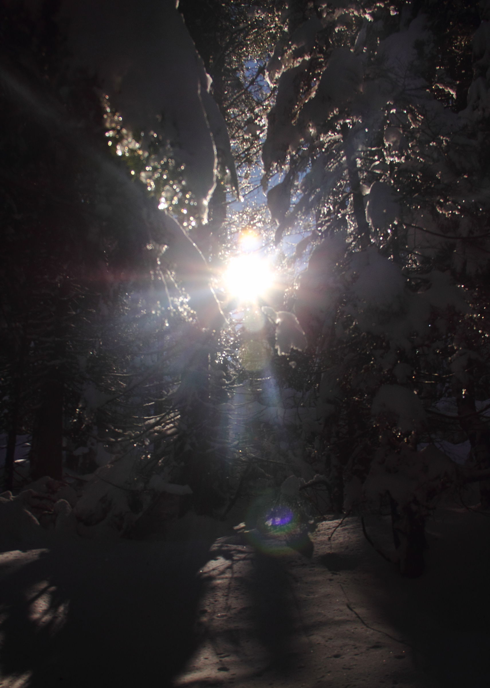 I come to meet you...