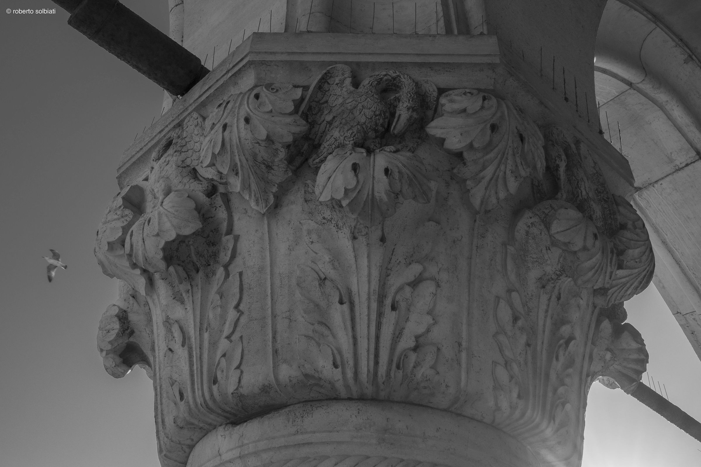 ...nel cielo...nella colonna...volere volare...