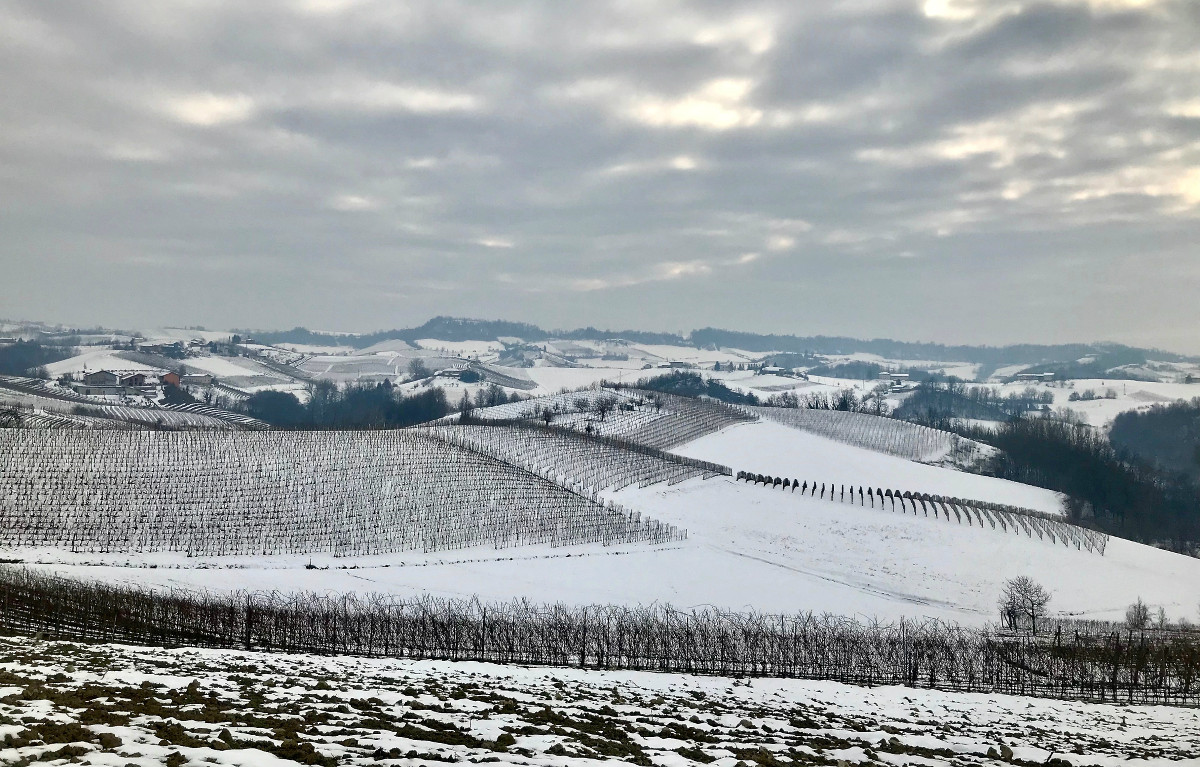 The rest of the vineyards