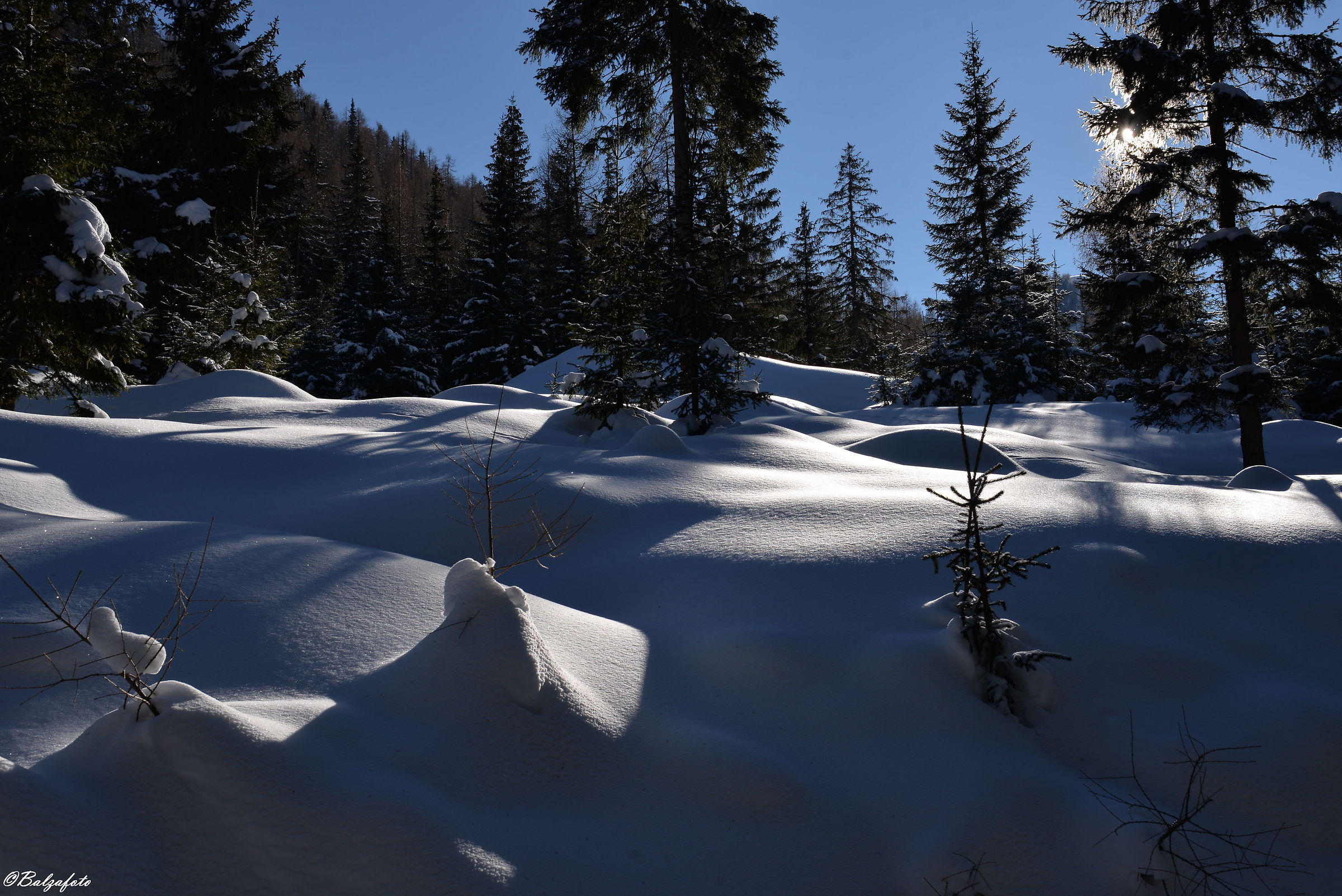 Winter in the midst of its splendor