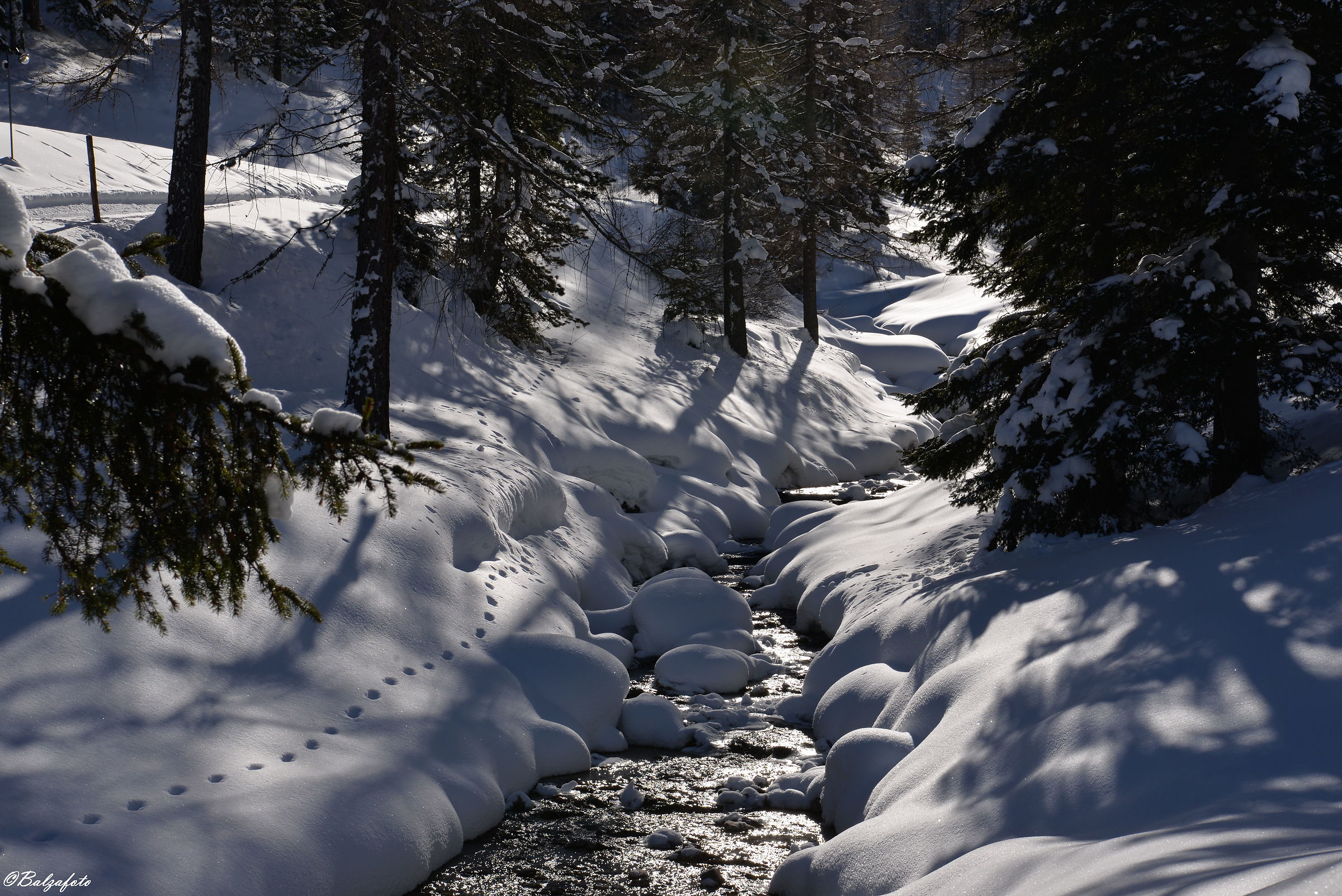 The trace in the snow, sign of life and hope