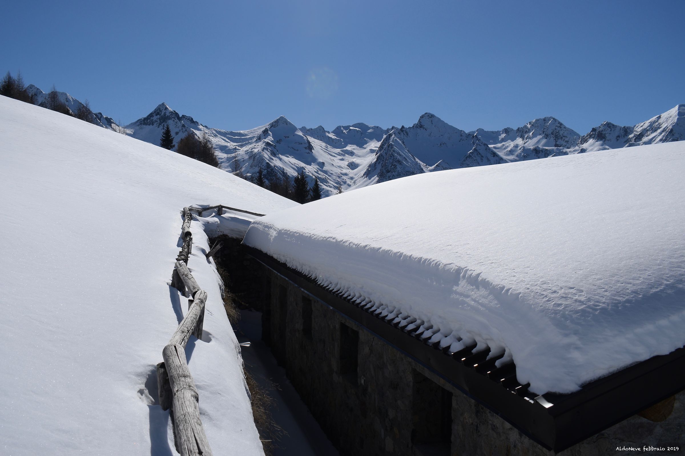 Particolare di Malga Barbione
