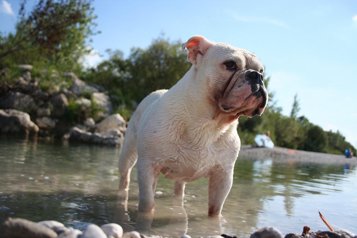 giochiamo con l'acqua