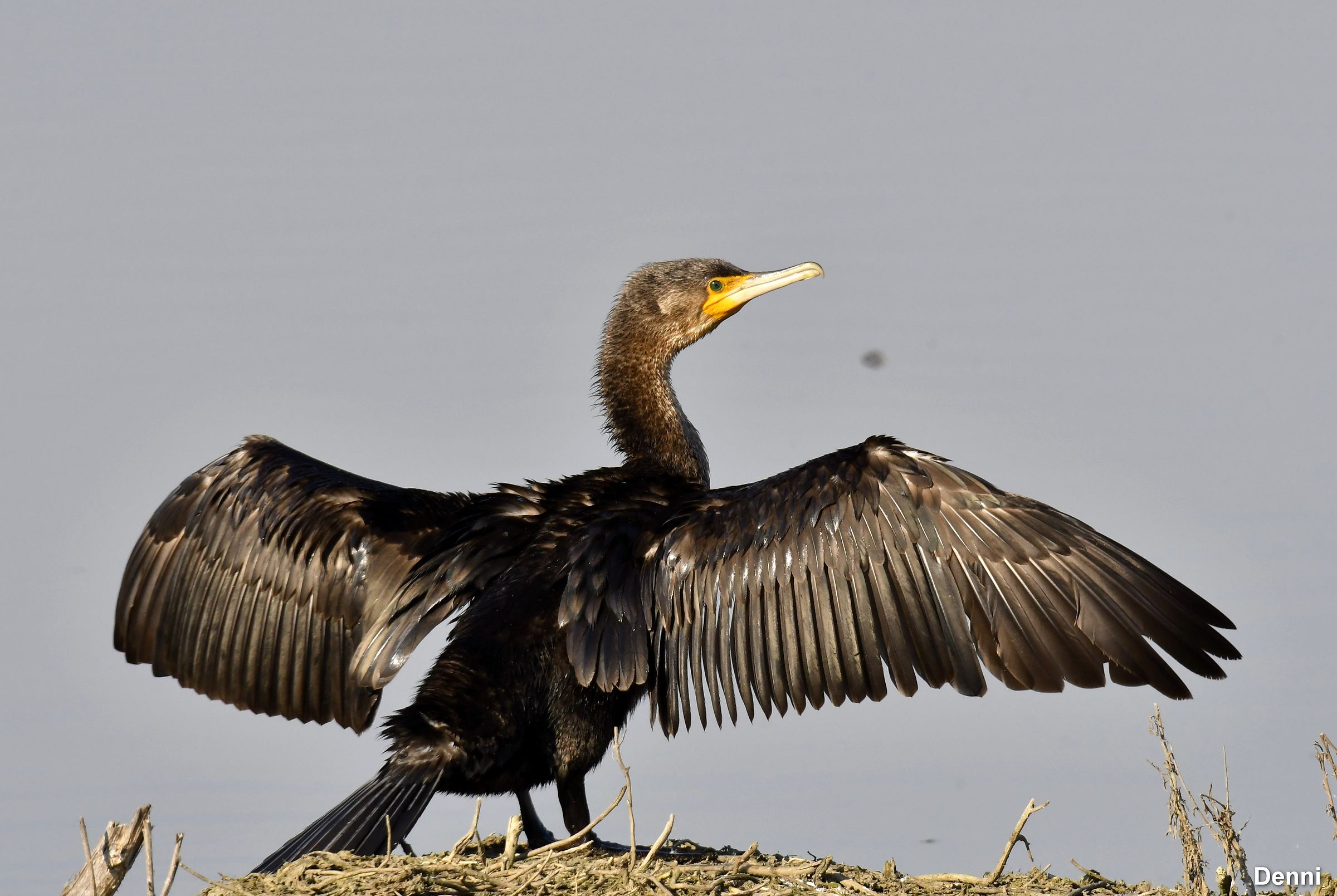 I'm waiting for a towel