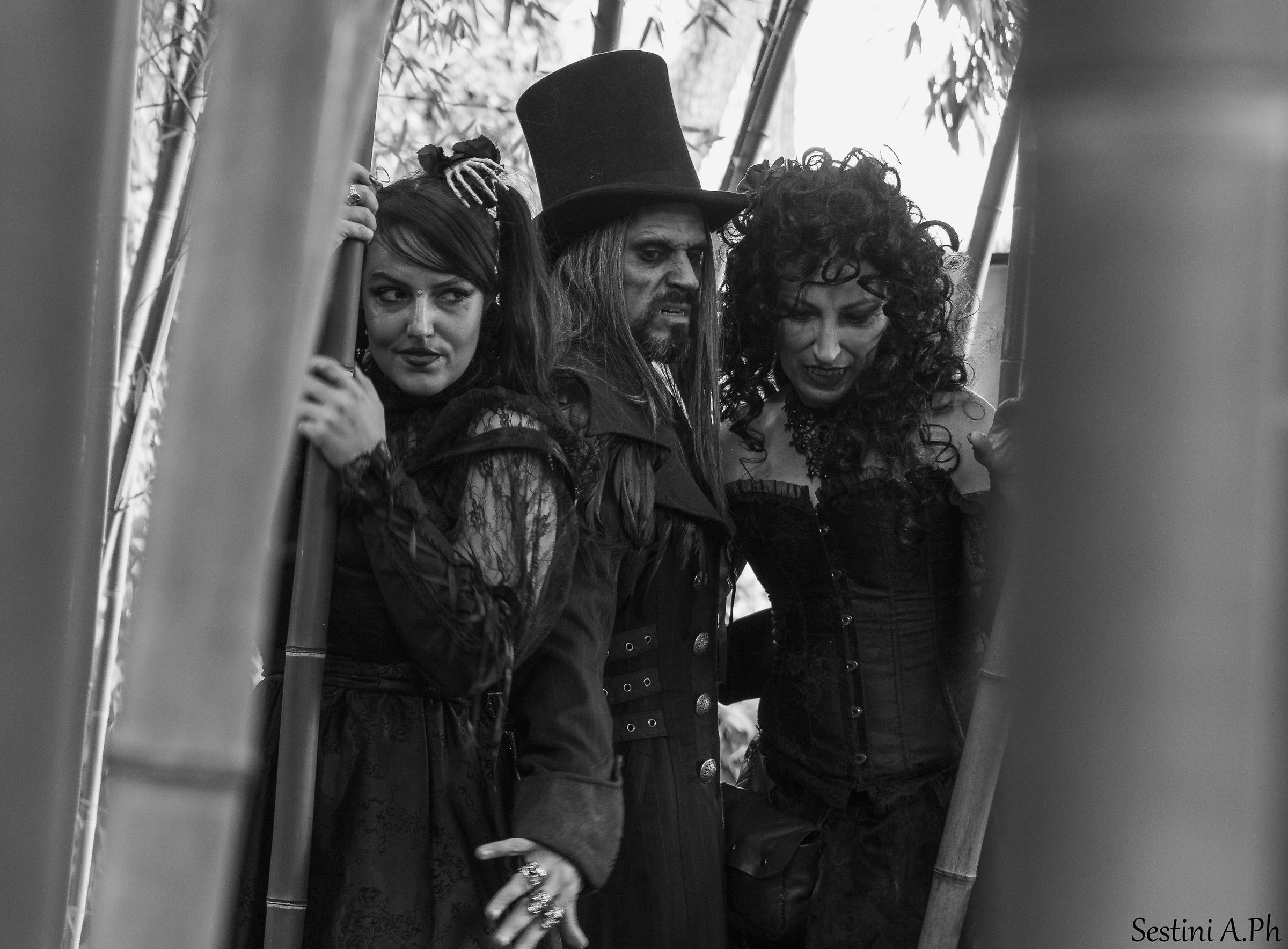 Vampires at Villa Pfanner