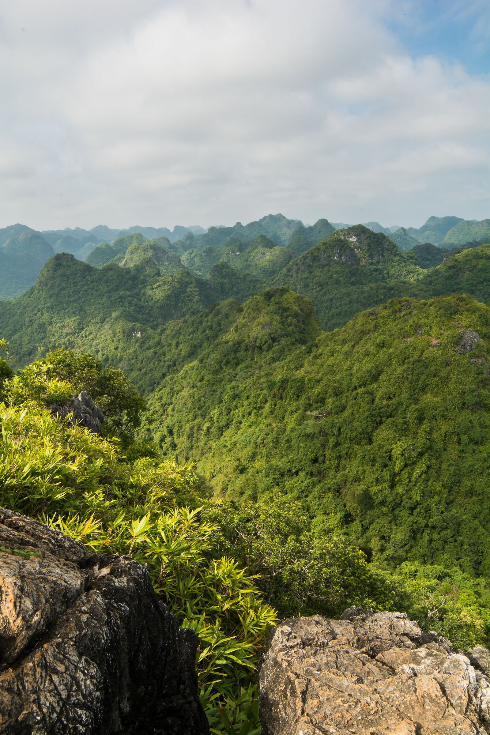 Cat Ba National Park