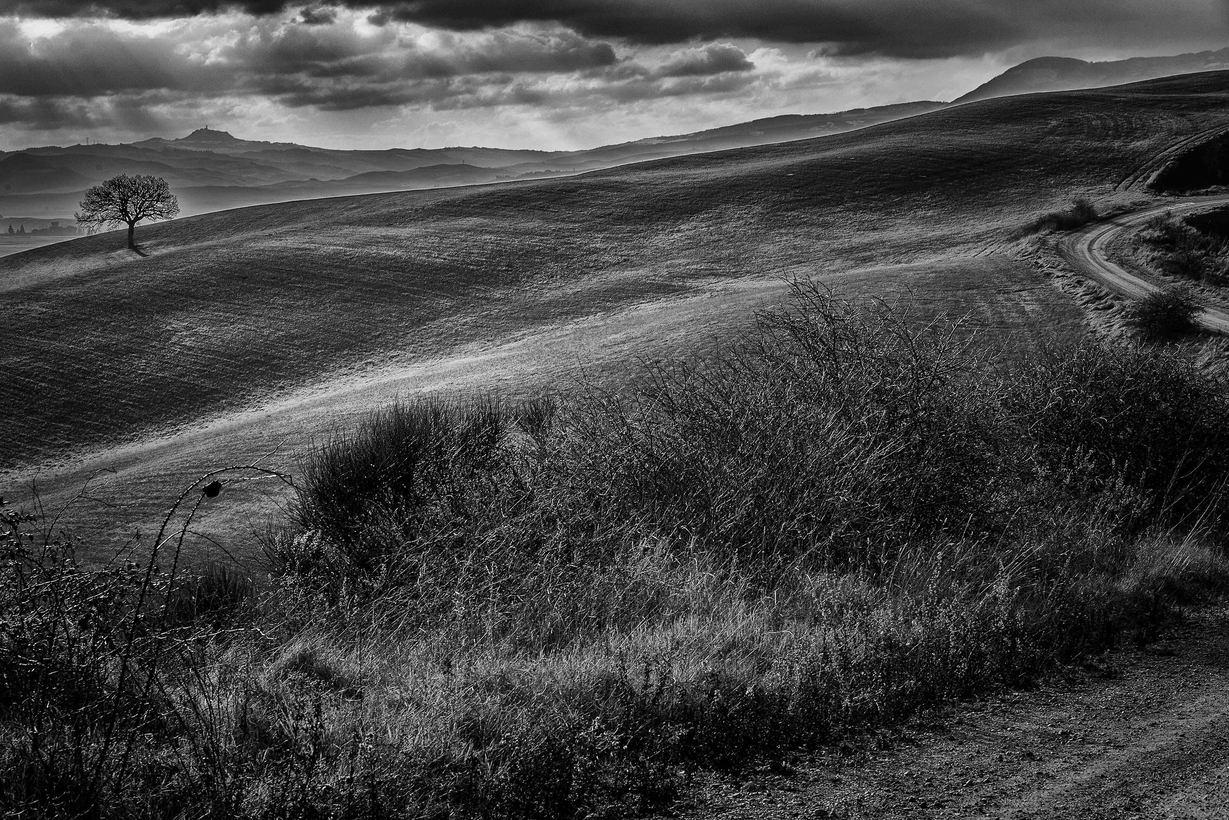 Pressi casabianca , San Quirico D'Orcia