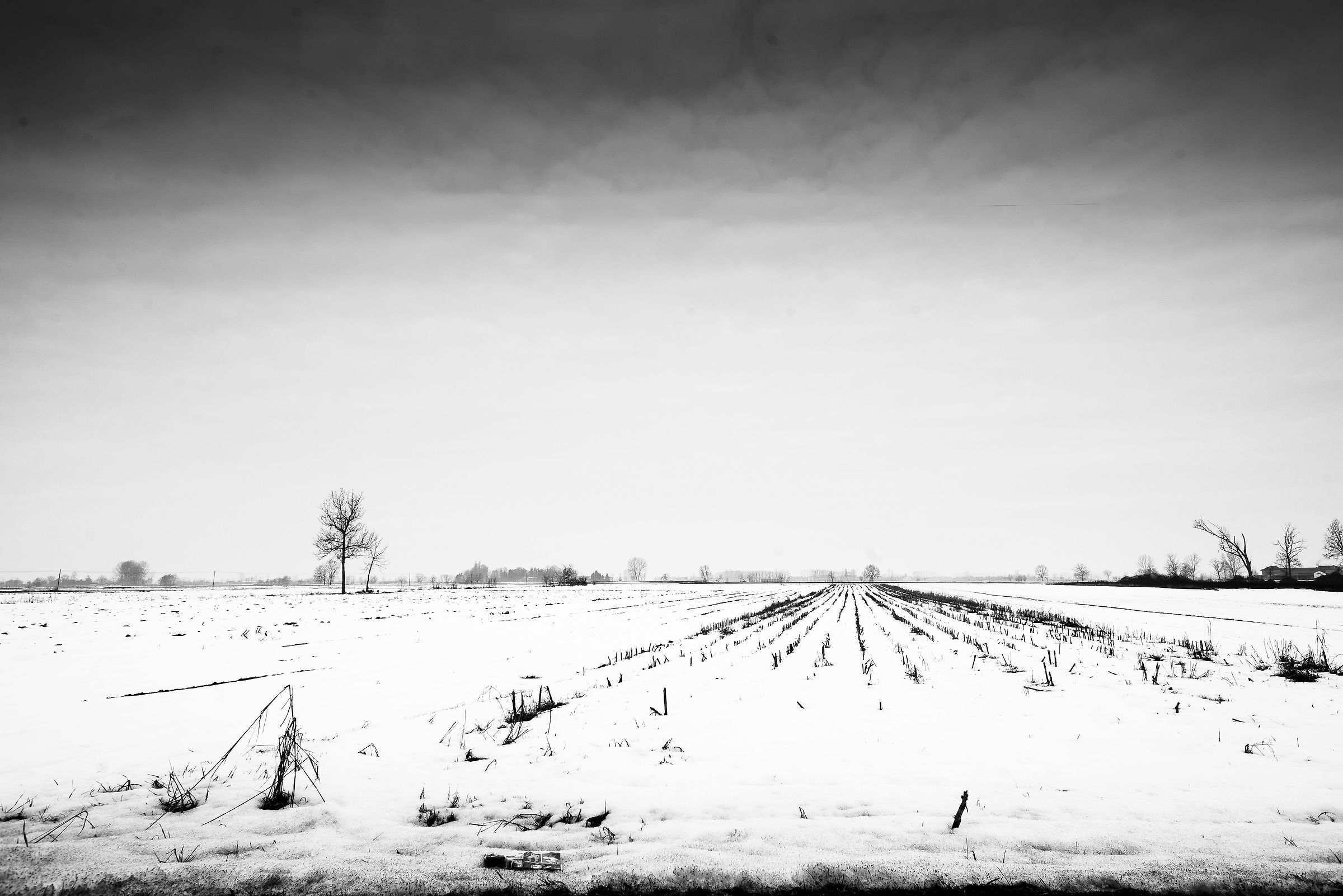 Parco Naturale Confluenza del Po