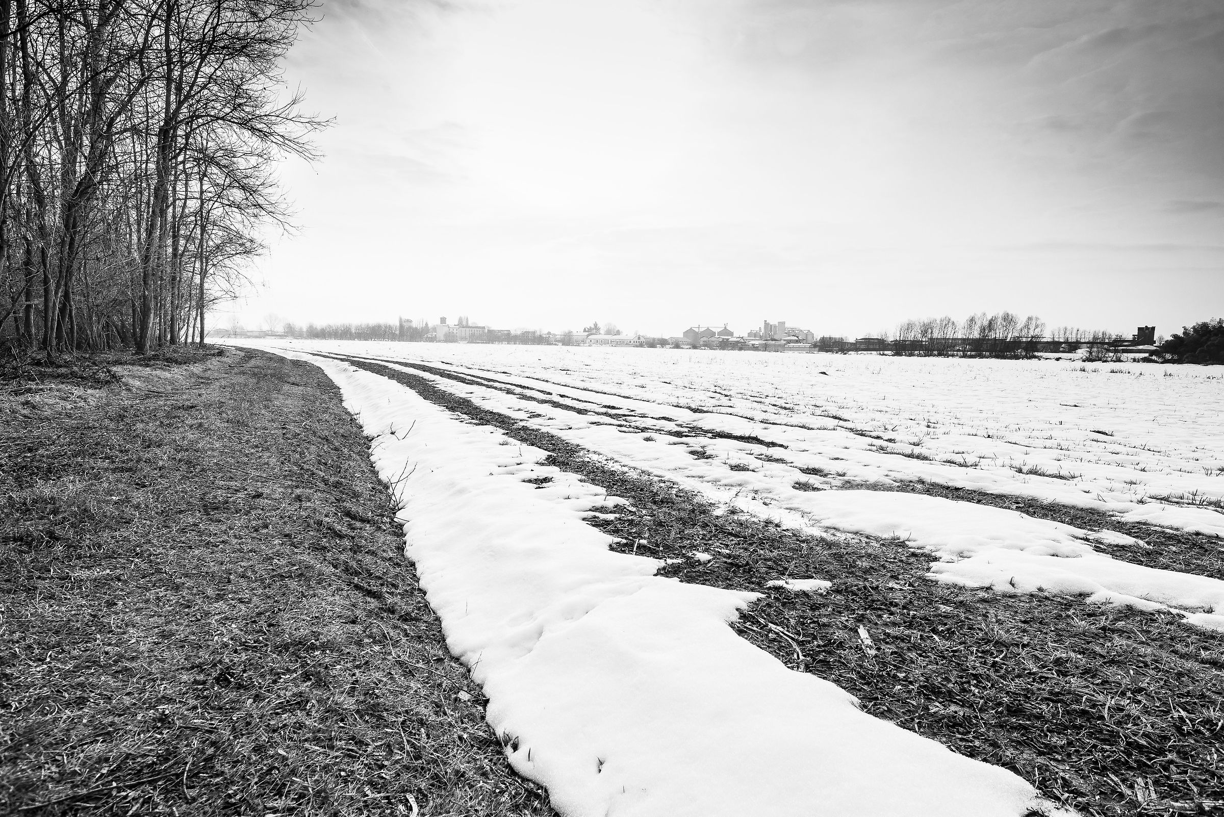 Parco Naturale Confluenza del Po