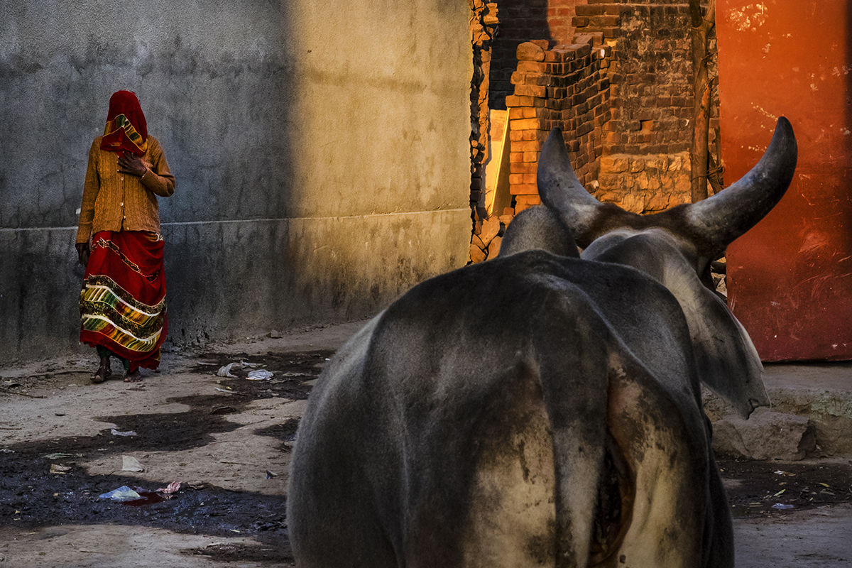 Colours of Kumb Mela 2019
