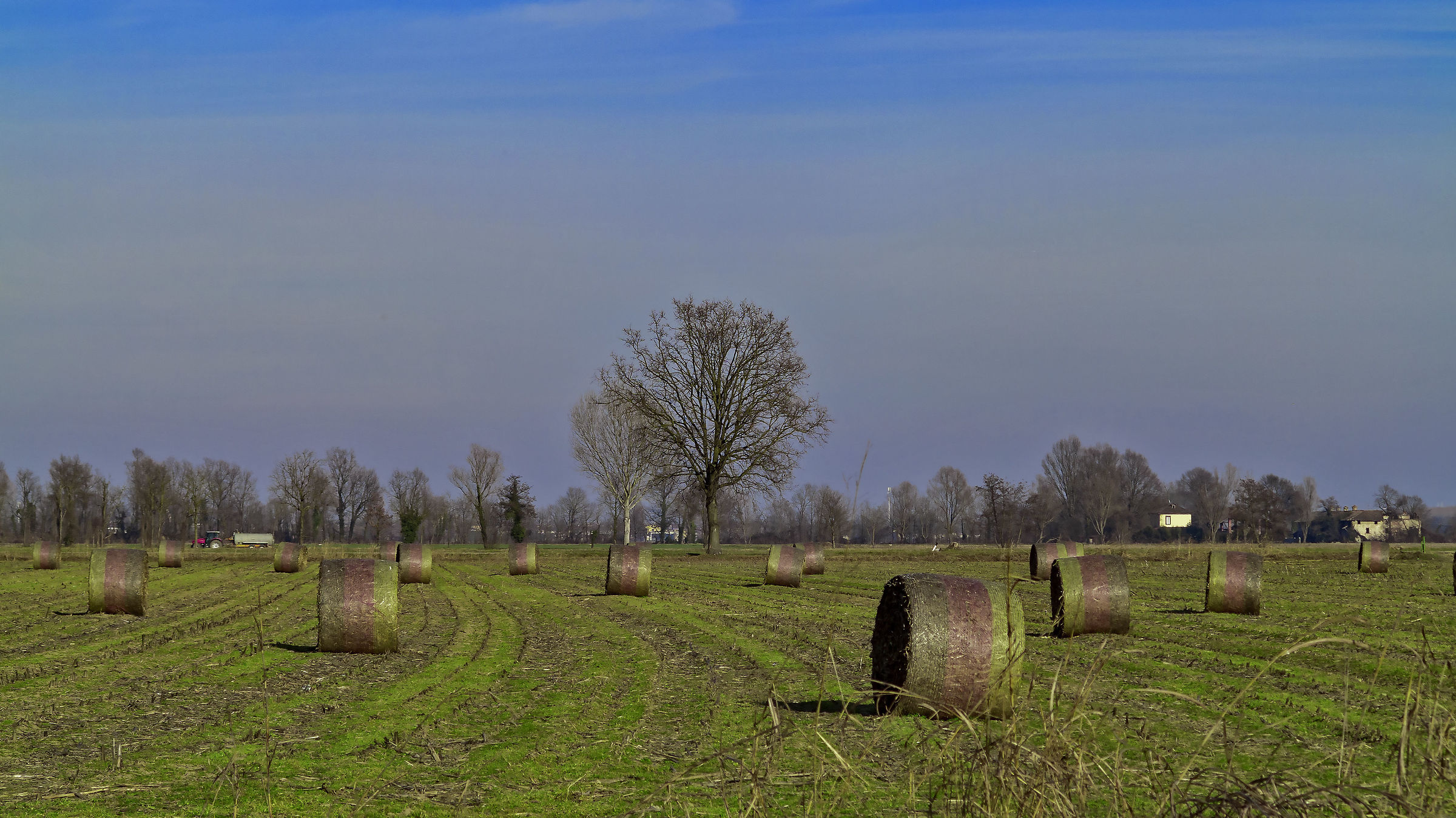 Old Bales