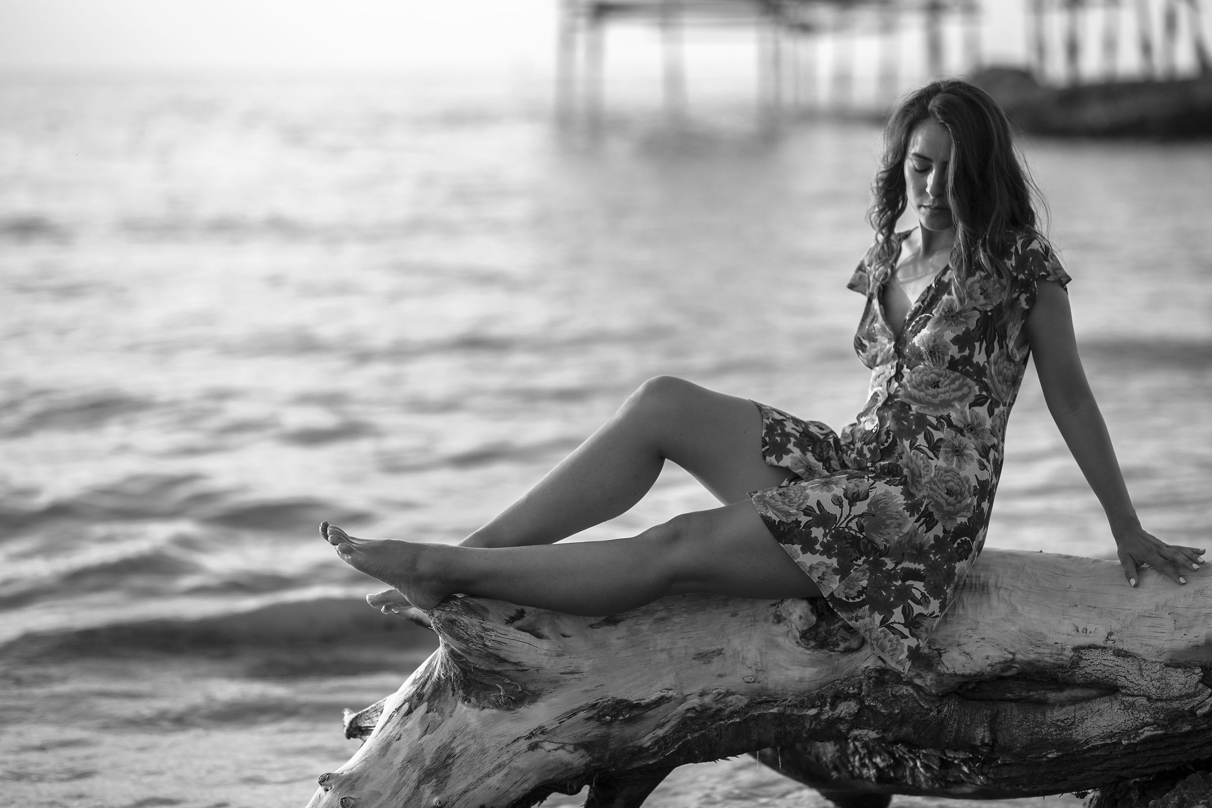 Waiting for the evening