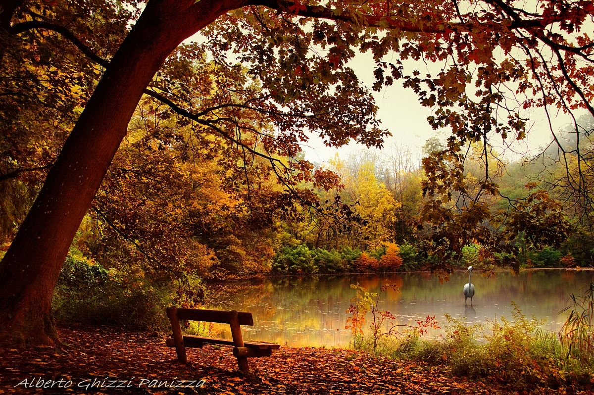 Autunno sul lago dei pensieri