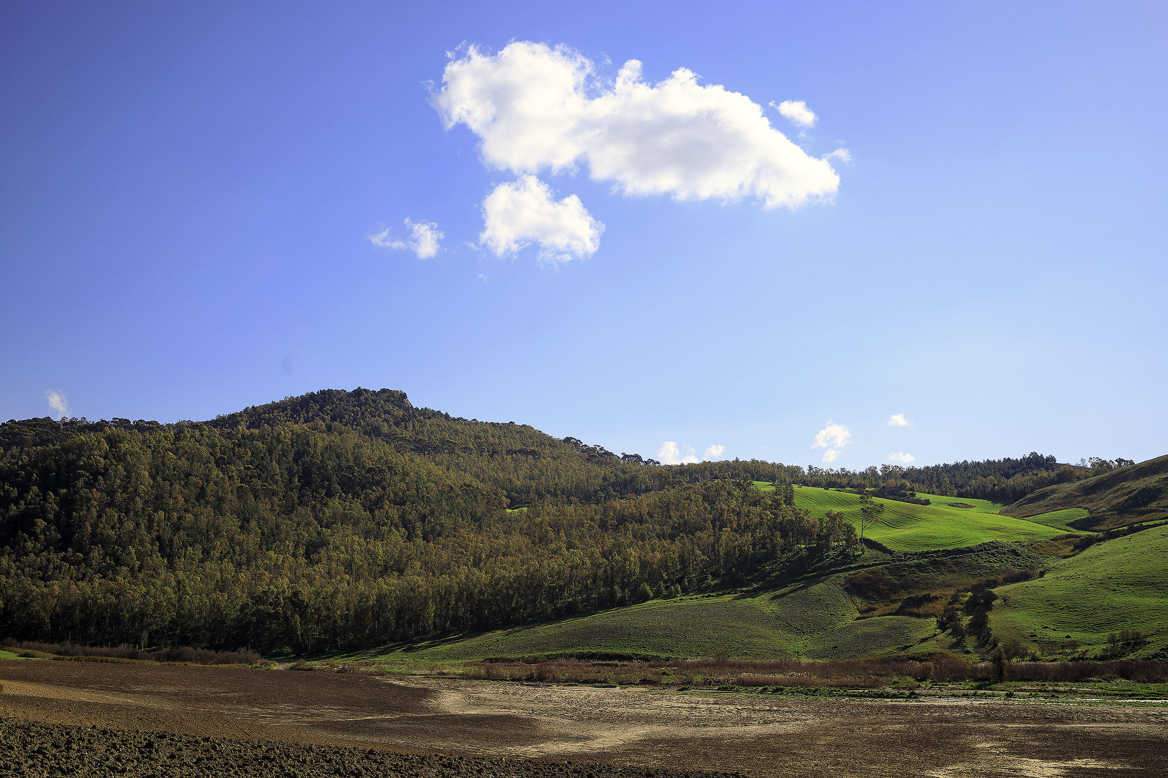 Test Canon RF 35 mm f: 1.8