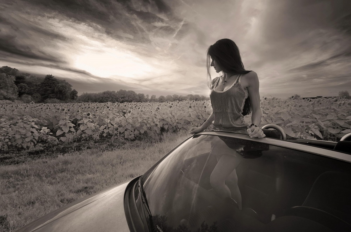 Sogno di mezza estate...