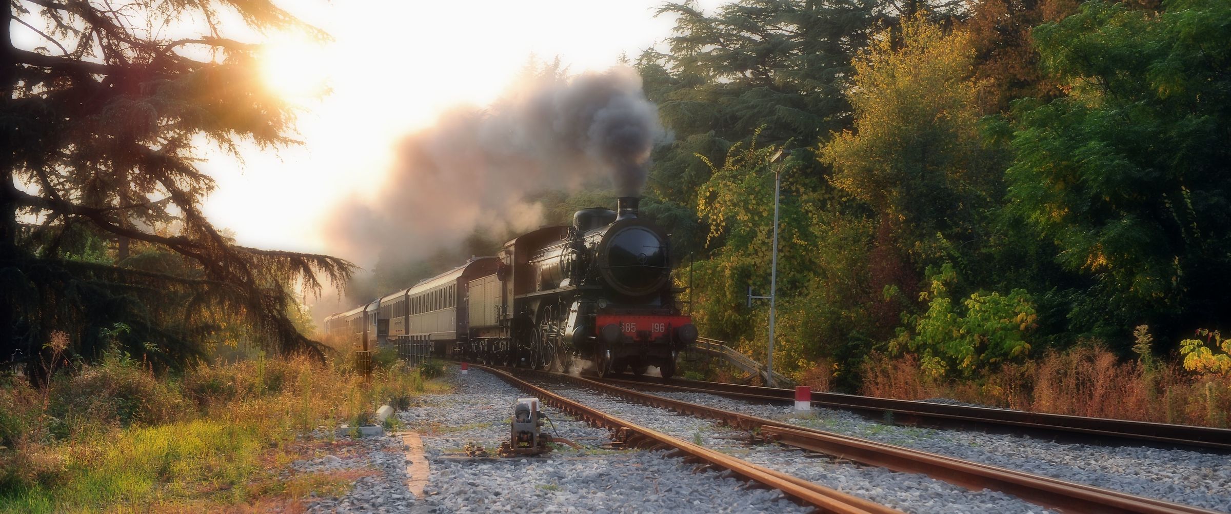 Chestnut Train in Marradi
