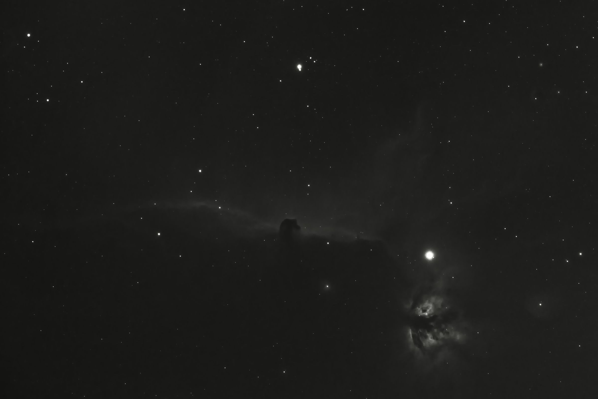 IC 434 (testa di cavallo)
