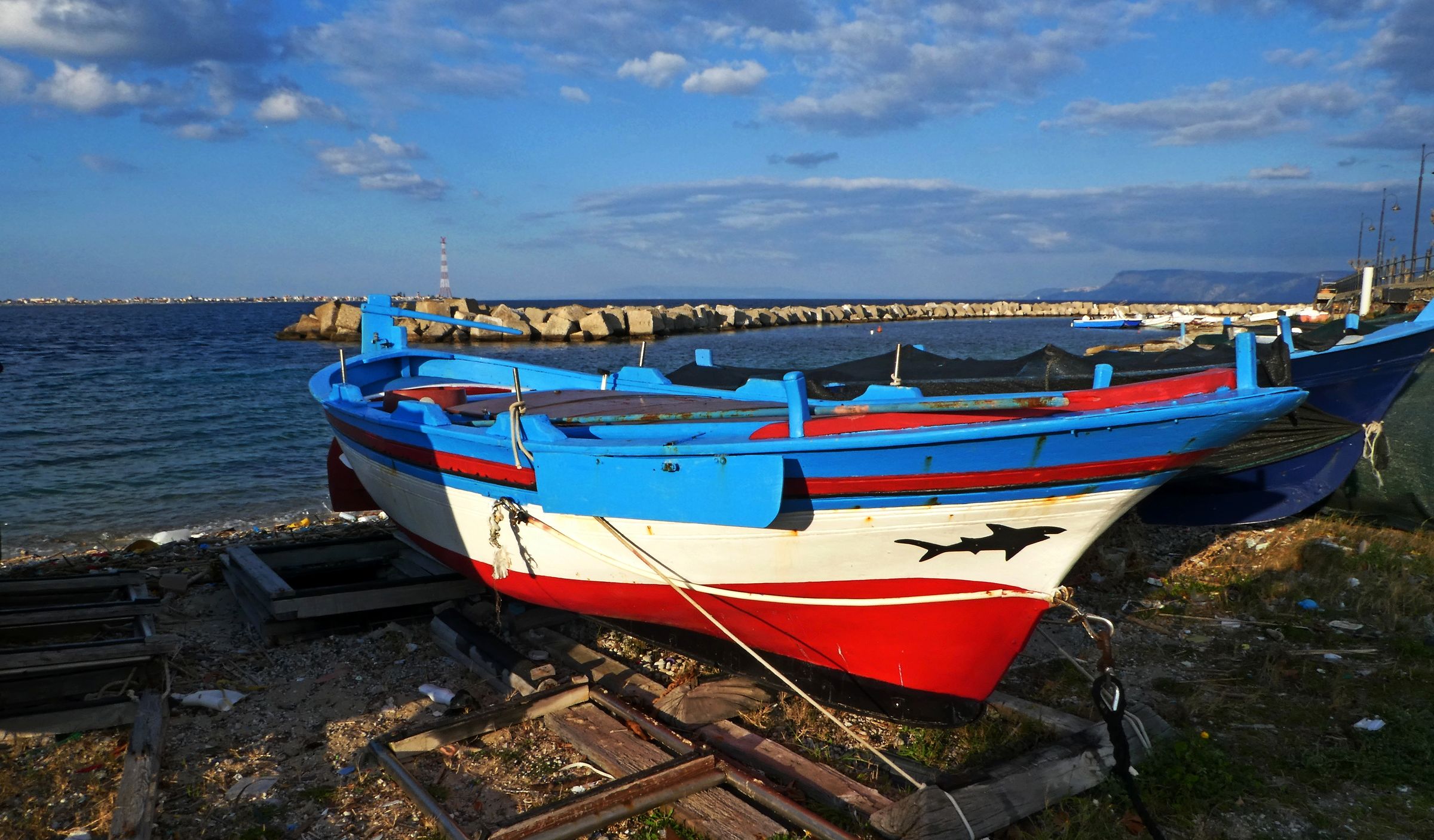 The shark of the strait