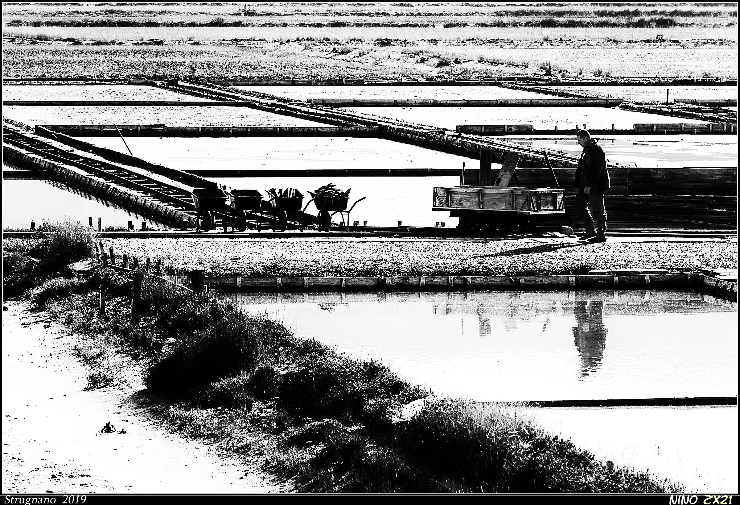 In the saline of Strunjan.