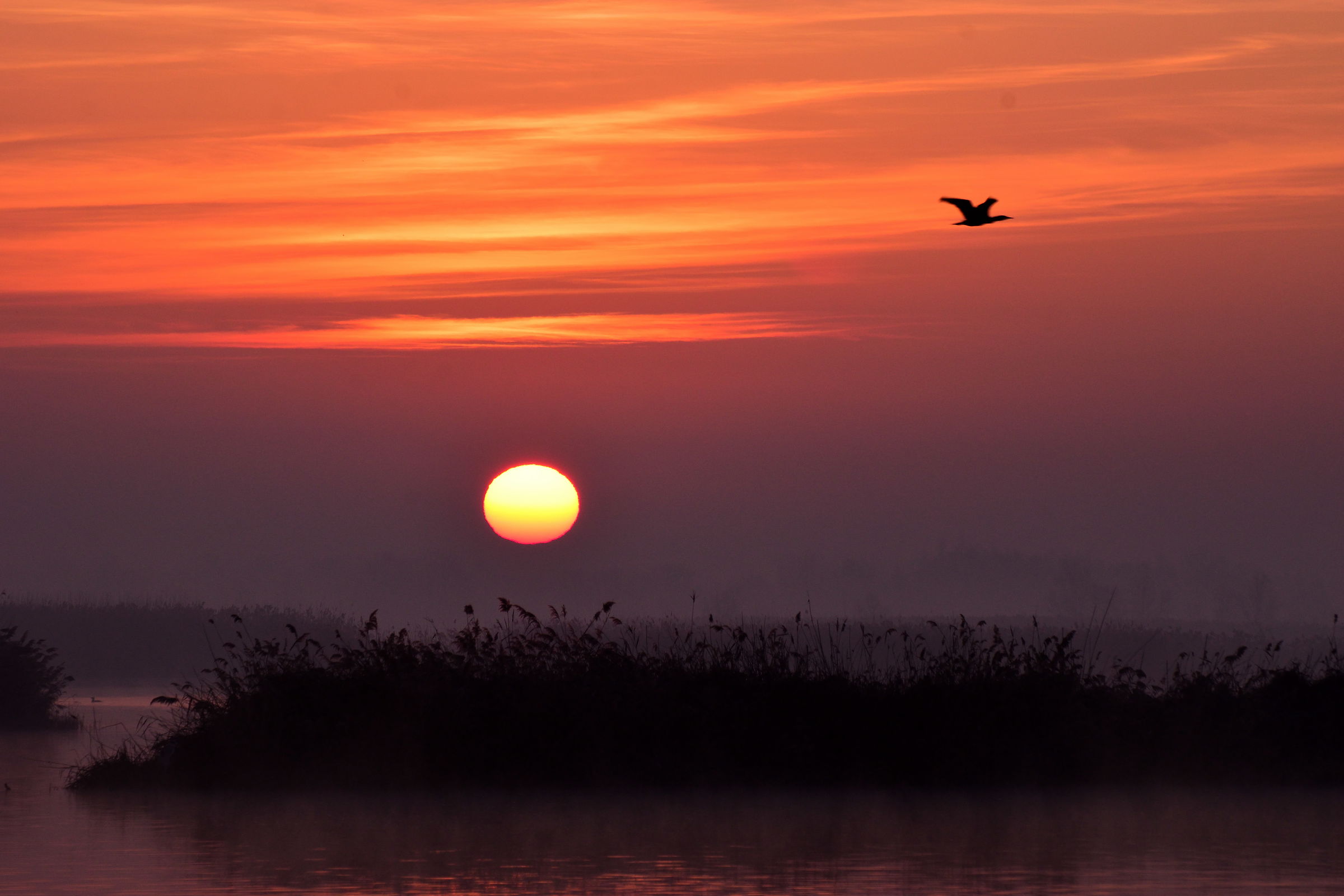 Alba in Vallesanta #4