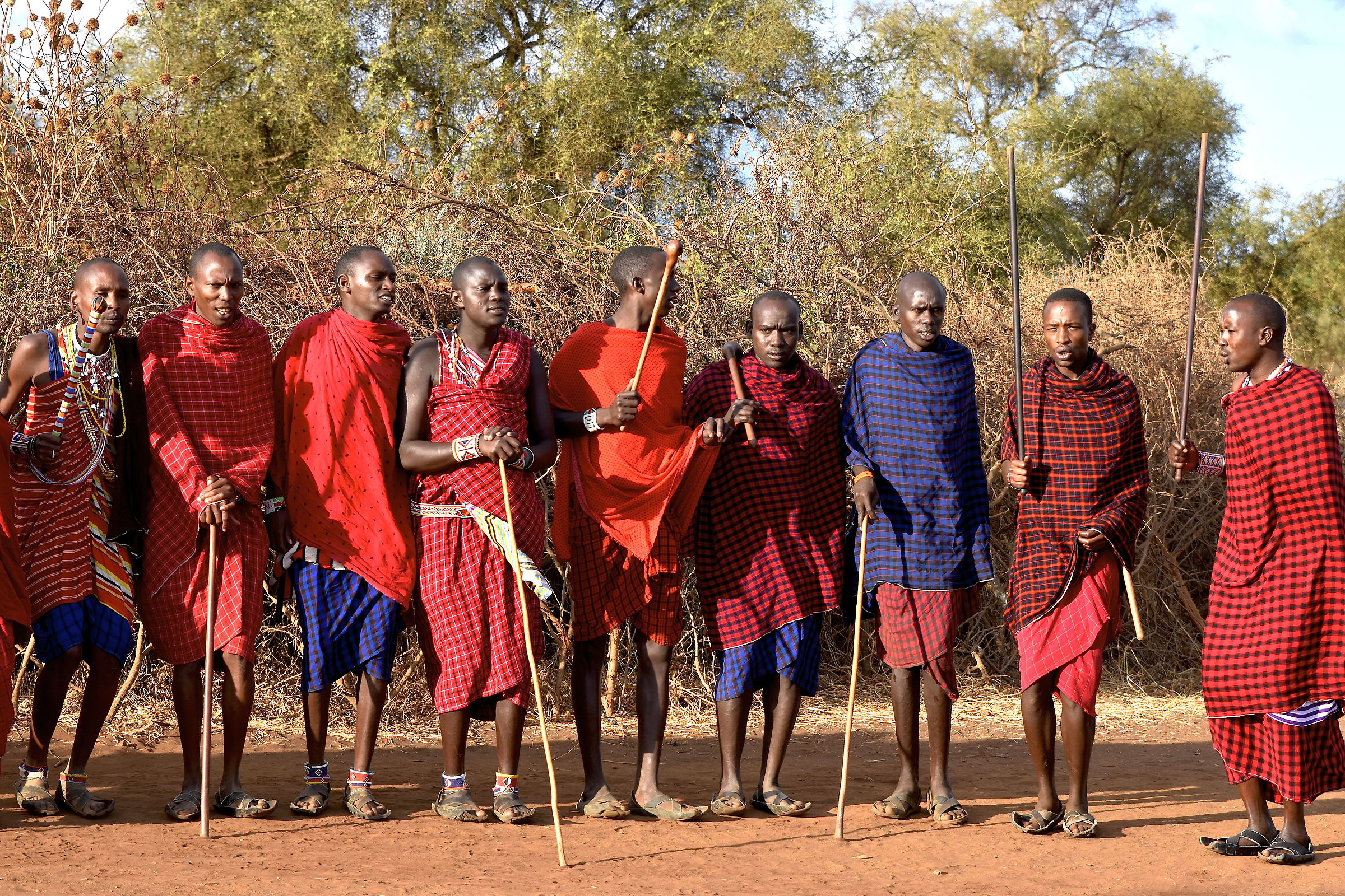 Tribe Masai