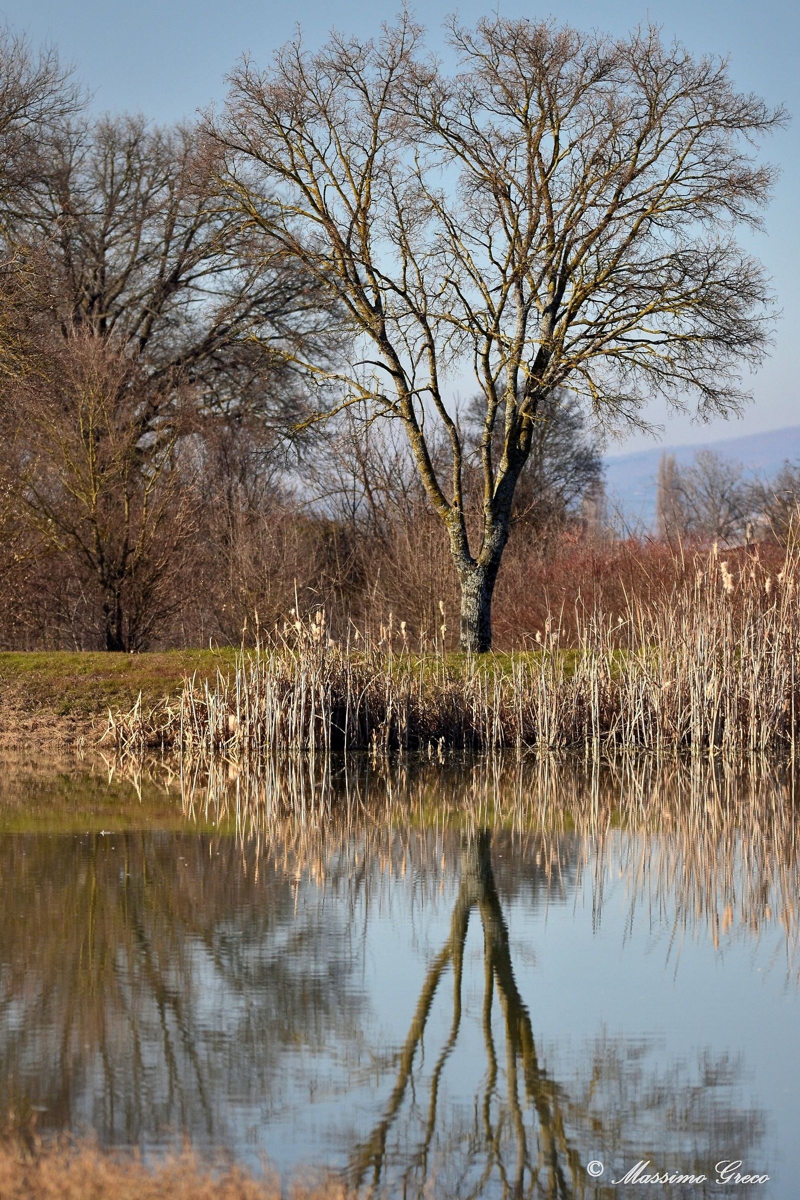 Umbrian landscape