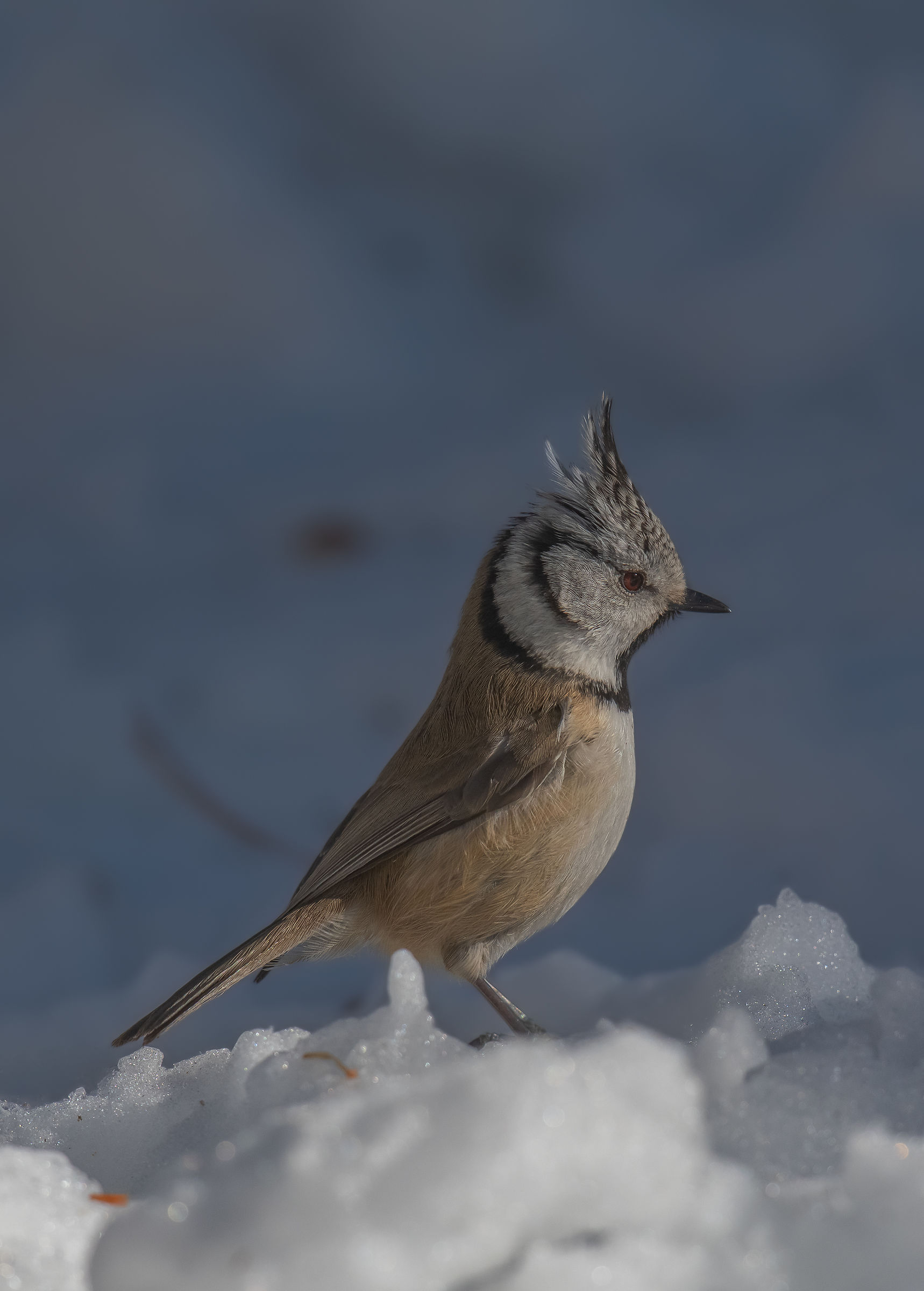 Cincia of the Headset 2